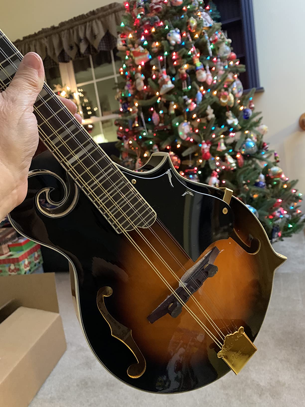 Ibanez M522S F-Style Mandolin - Brown Sunburst High Gloss customer photo 1