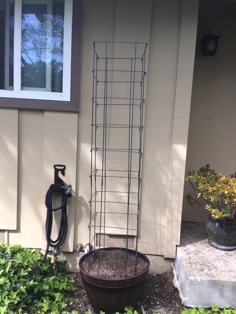 Gardeners Supply Company Large Bean Tower Plant Support | Sturdy Weatherproof Outdoor Beans, Tomato & Other Climbing Vegetable Garden Stake | 75