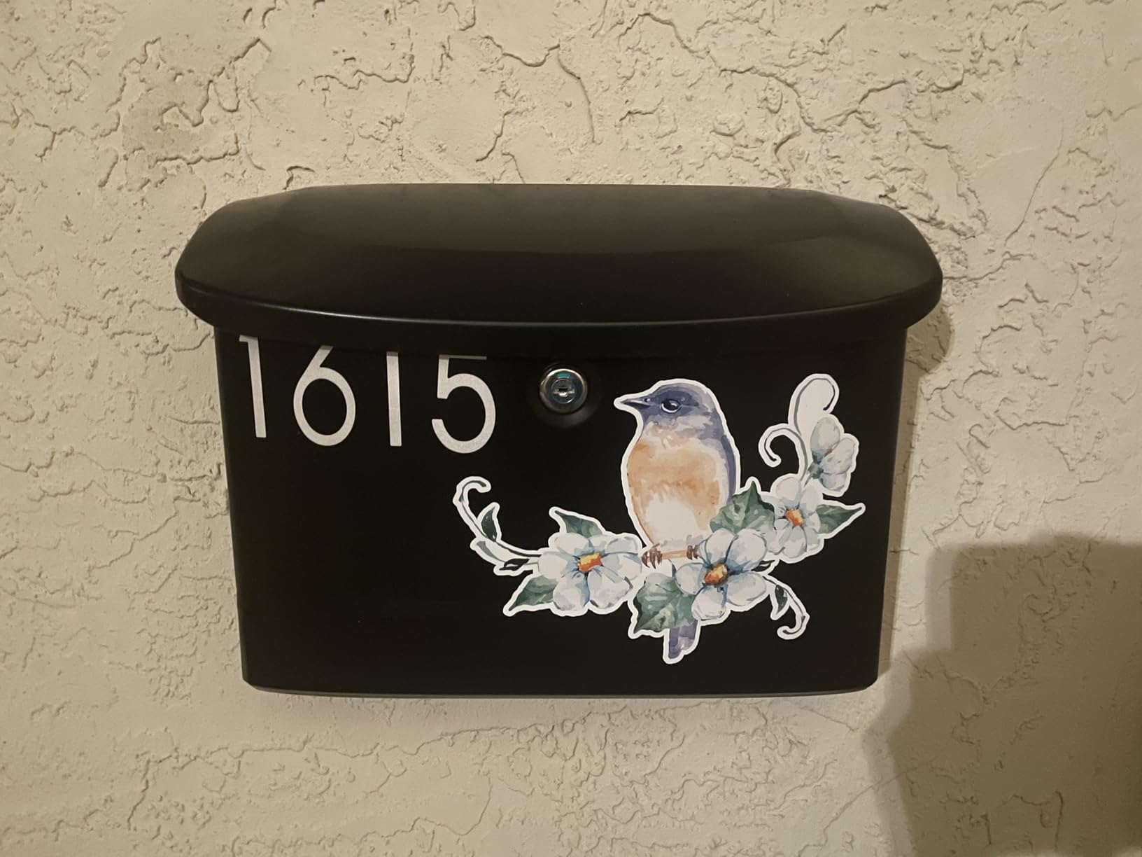 Architectural Mailboxes Princeton Locking, Wall-Mounted Mailbox for Outside, Metal Galvanized Steel Medium Mail Box with Lock and Key Drop Box, Black customer photo 1