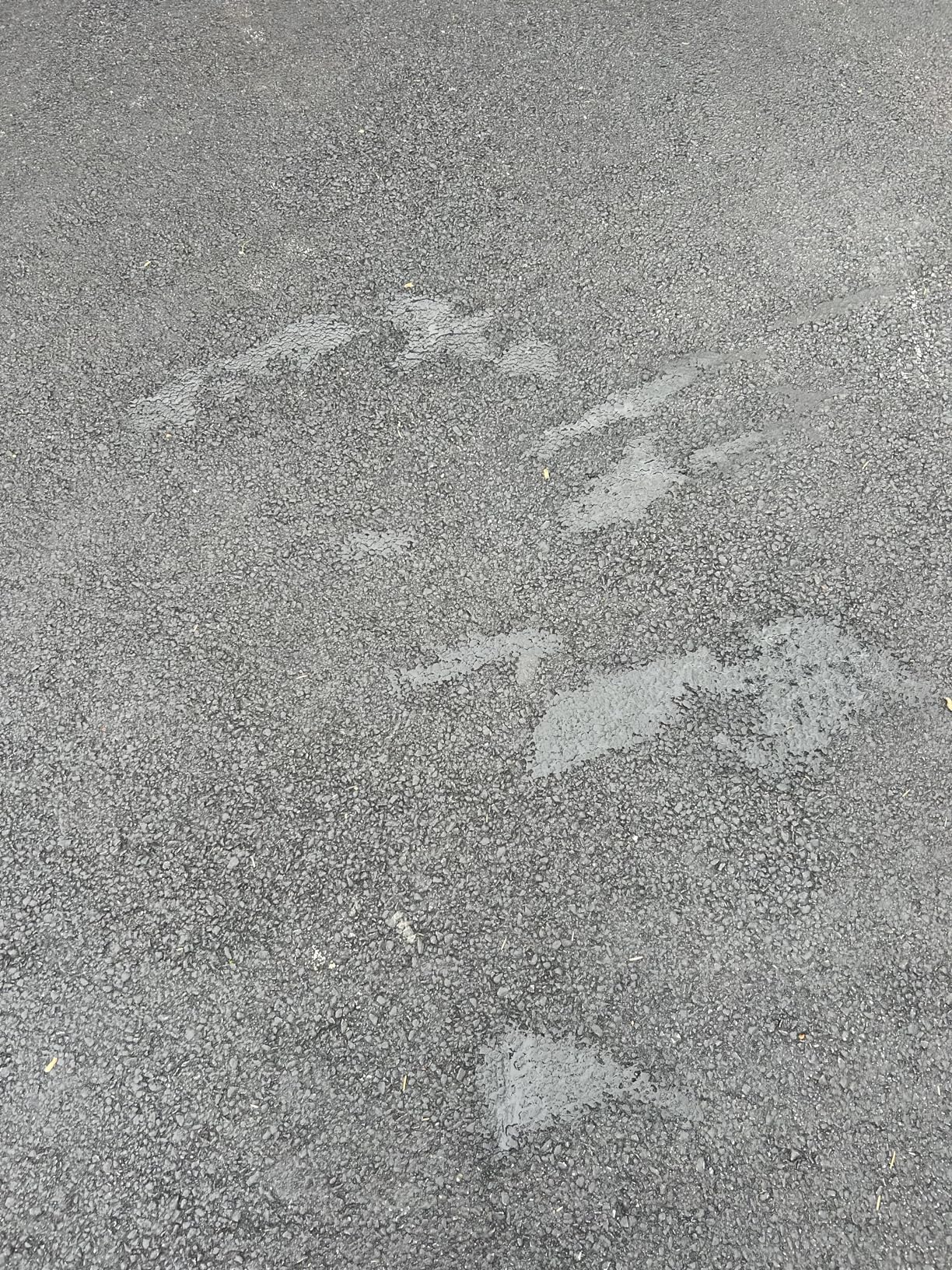 Bluestar Flexible Asphalt Crack Filler, DIY - No Special Tools Needed, Fill Cracks in Asphalt Driveways and Parking Lots. 16 fl. oz. Bottle. customer photo 1