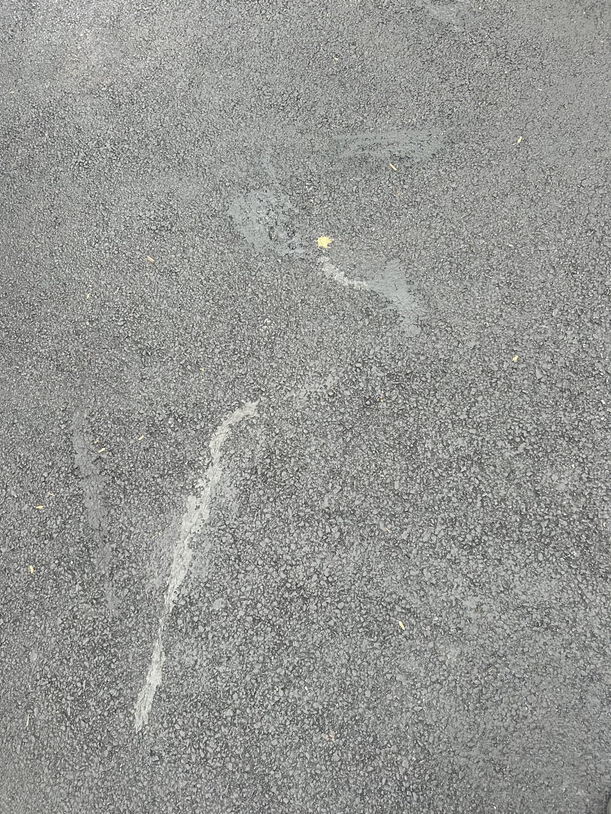 Bluestar Flexible Asphalt Crack Filler, DIY - No Special Tools Needed, Fill Cracks in Asphalt Driveways and Parking Lots. 16 fl. oz. Bottle. customer photo 2