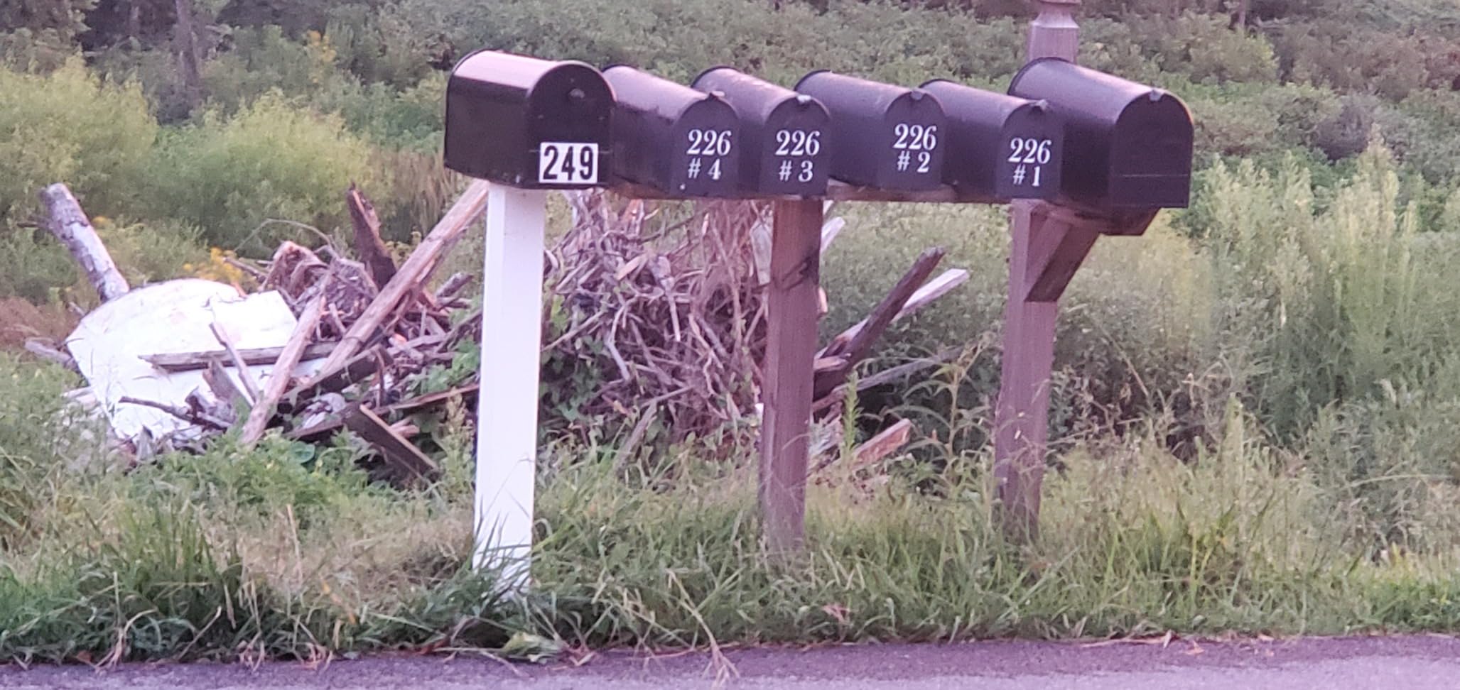 Gibraltar Mailboxes OM160BEC Outback Double Door, Large Capacity Mailbox, Black customer photo 1