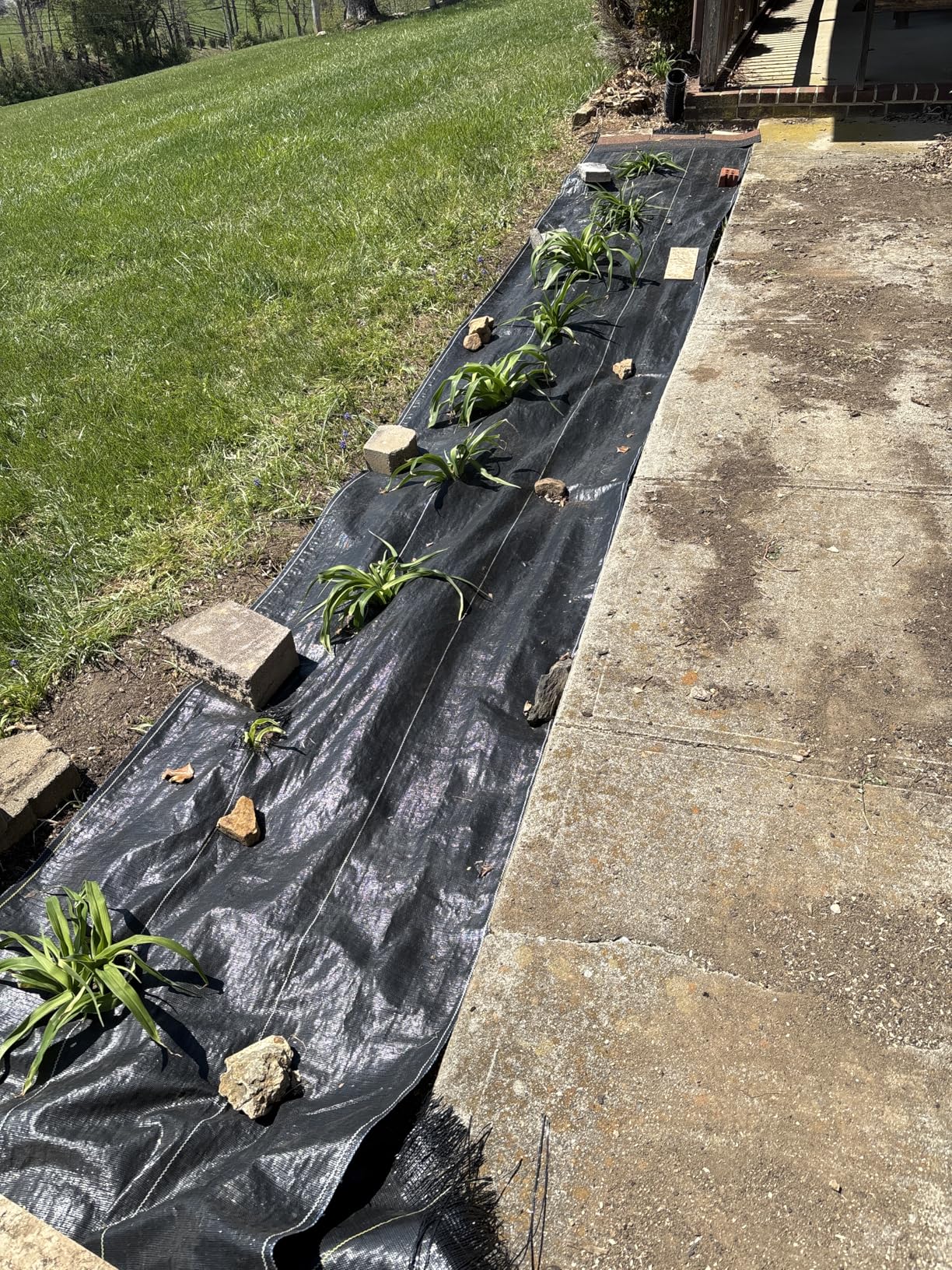 Dewitt 2-Pack 4 x 300 Ft Woven Weed Barrier Landscape Fabric Ground Cover - Heavy-Duty and UV-Stabilized 3.2 oz Polypropylene Covers for Outdoor Gardens, Raised Beds, Landscaping, and Gardening customer photo 1
