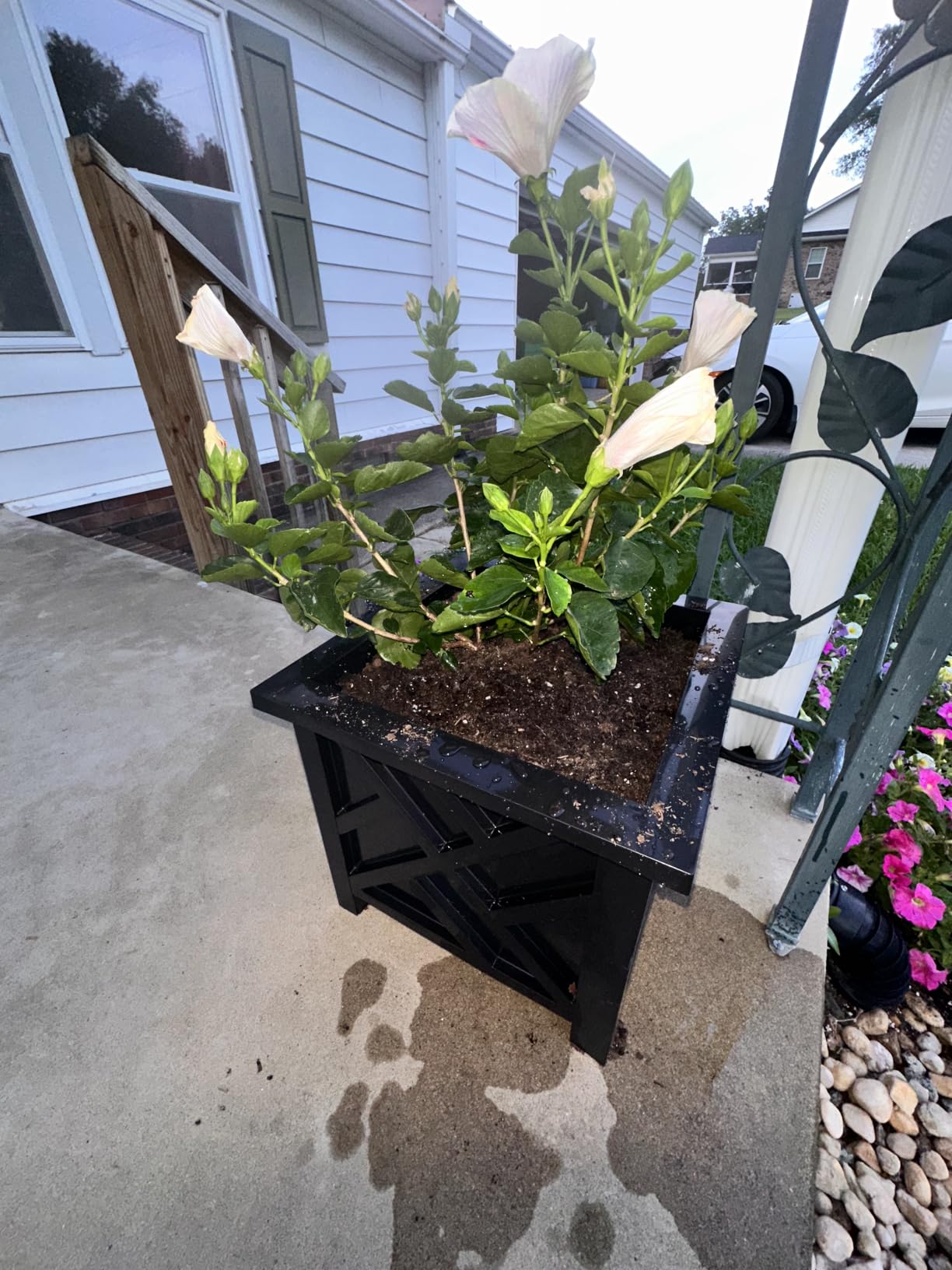 Lattice Design Outdoor Planter Box - 14.75