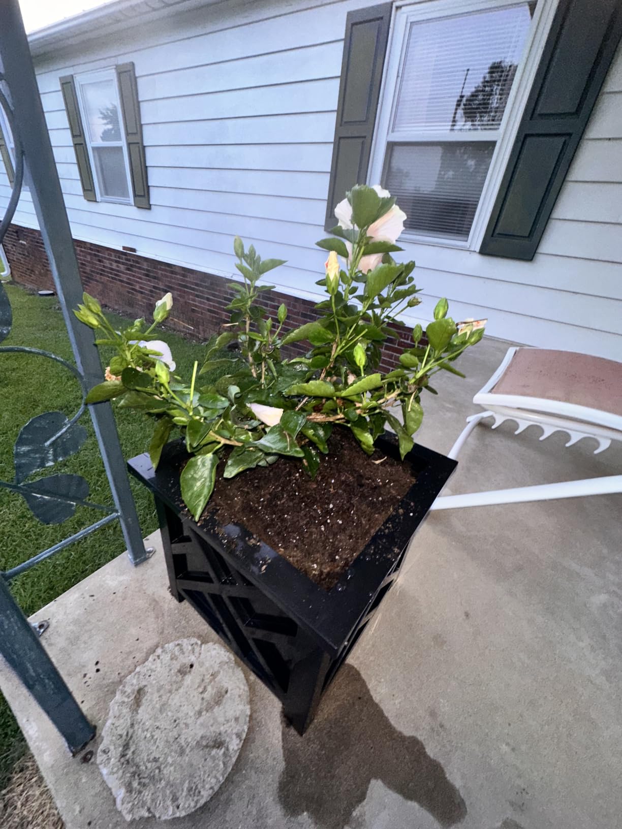 Lattice Design Outdoor Planter Box - 14.75