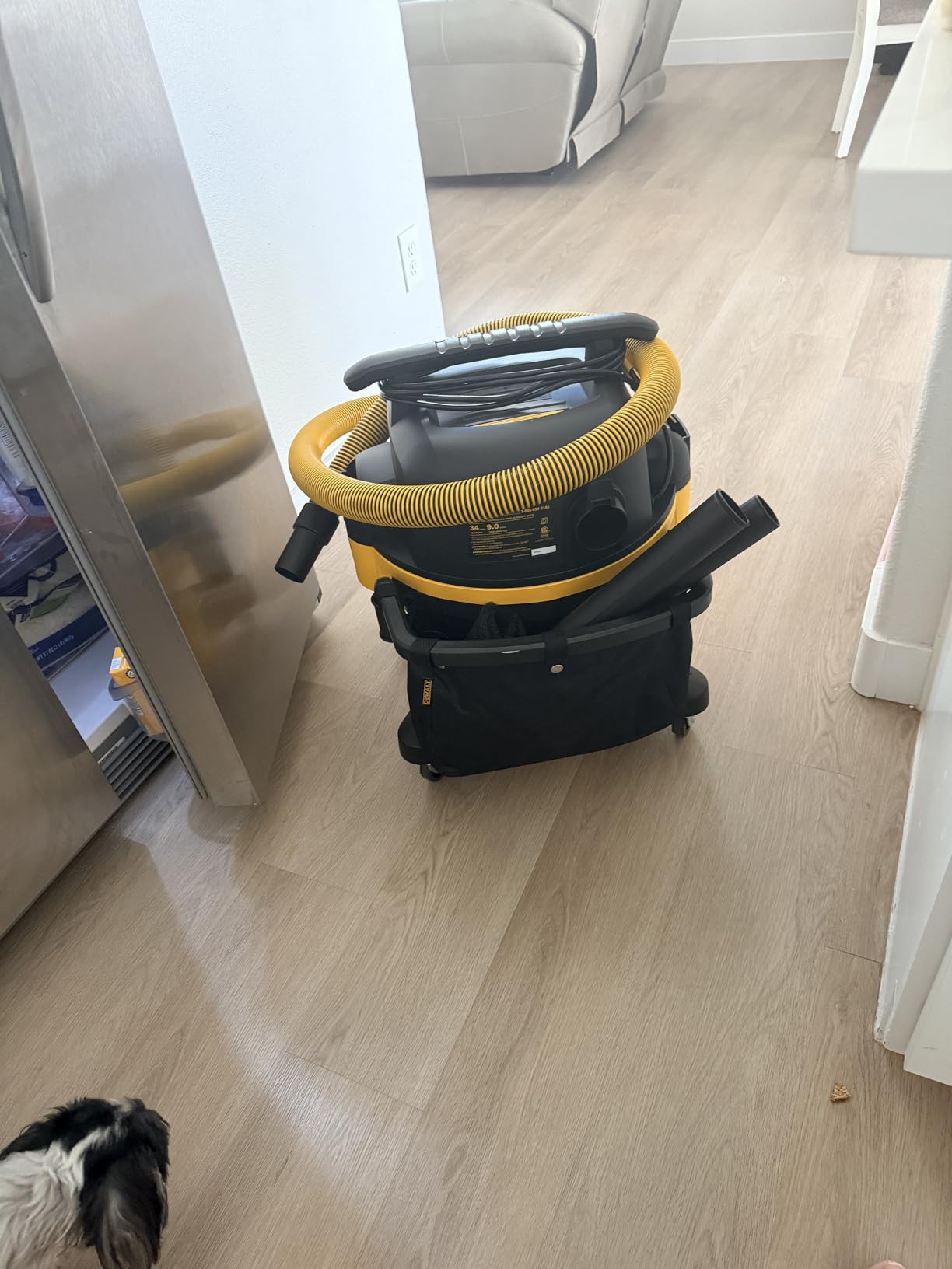 DEWALT 9 Gallon Wet/Dry VAC, Heavy-Duty Shop Vacuum with Attachments, 5 Peak HP, with Blower Function, DXV09PA customer photo 1