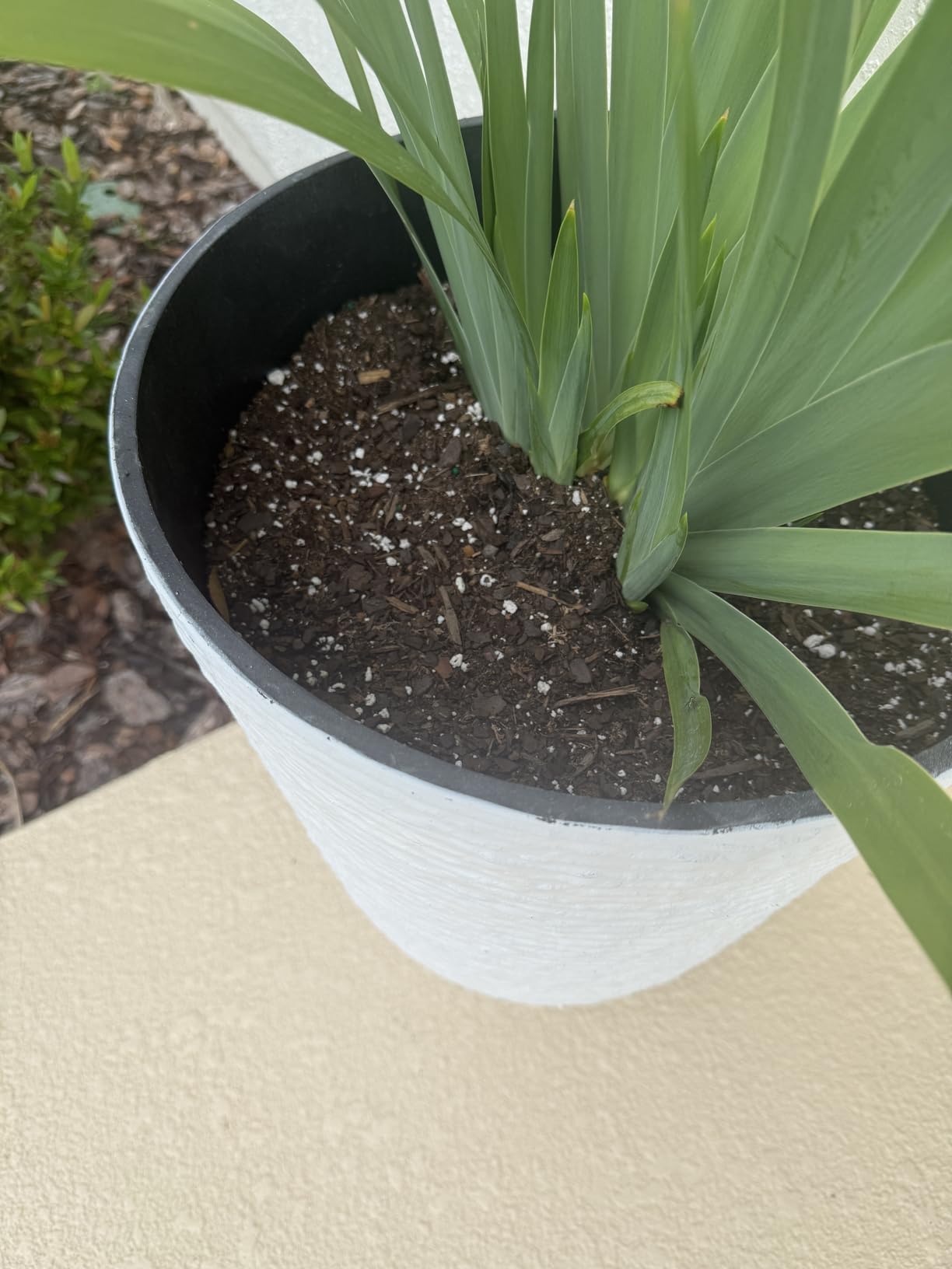 Worth 9 Gallon Tall Round Planters Set of 2-14