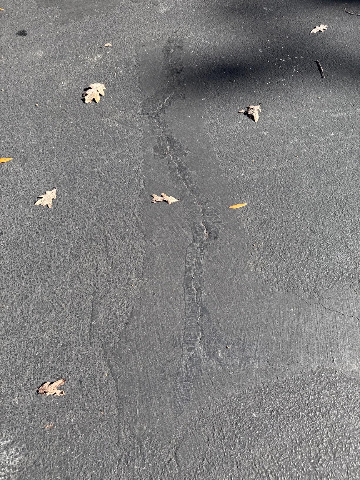 Premium Elastomeric Asphalt Crack Filler and Sealant, Perfect for Blacktop Repair (1 Gallon) customer photo 1