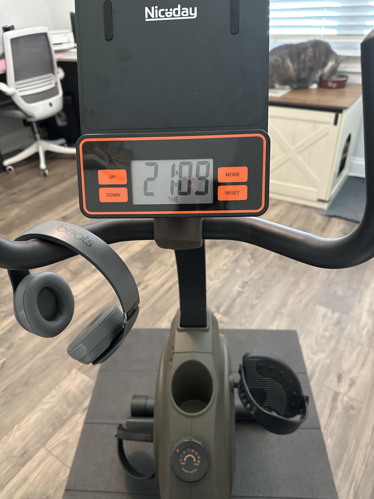 Niceday Recumbent Exercise Bike for Home Stationary Bike with APP Training customer photo 1