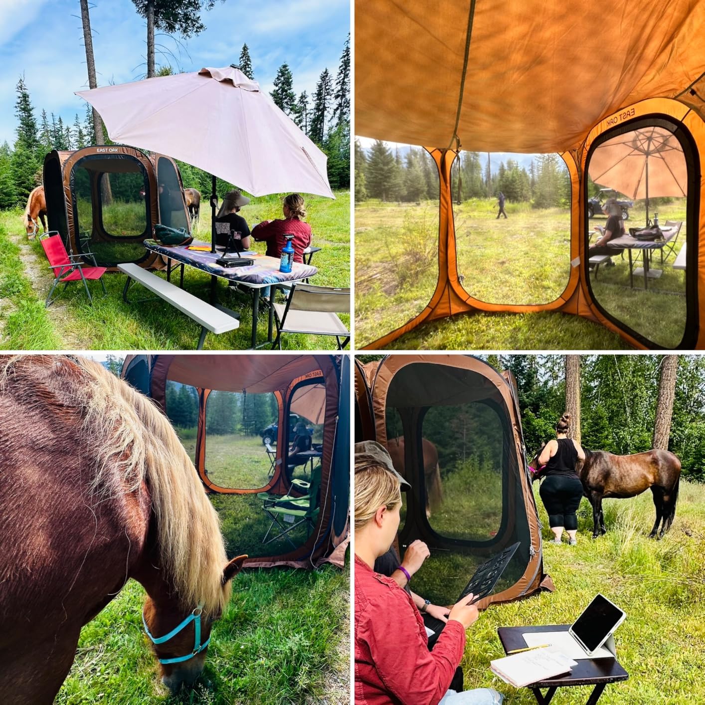 East Oak Pop up Screen Tent with Mosquito Netting, Portable Screen House Canopy Shelter, 10 x 10 FT Instant Screen Gazebo & UPF 50+ UV Protection for Patio, Backyard, Deck & Outdoor Activities, Beige customer photo 1