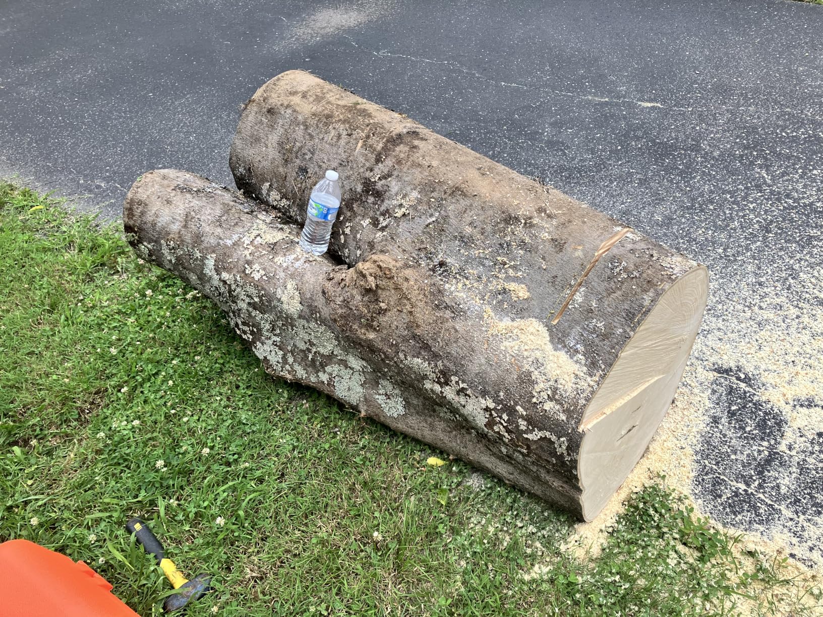 Husqvarna 450 Rancher 20 Inch Gas Chainsaw, 50.2-cc 3.2-HP, 2-Cycle X-Torq Engine, For Tree Pruning, Yard Cleanups and Firewood Cutting, 970613120 customer photo 1