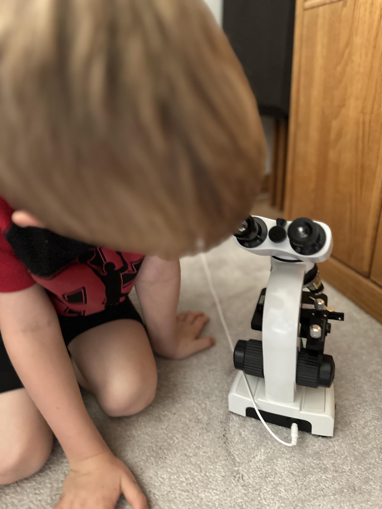 Compound Microscope，40X-2500X ，WF10x and WF25x eyepieces, Dual LED Lighting and Two-Layer Mechanical Stage，Microscope for Adults… customer photo 1