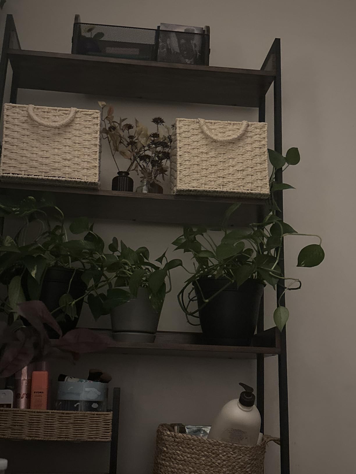 IRONCK Ladder Shelf 5-Tier 74.8in Tall, Industrial Bookcase and Bookshelf | MDF and Metal Frame. Edge Baffles. 33 lbs Per Shelf. Wall Mount. Anti-tip Device. for Office, Bathroom, Living Room. customer photo 1