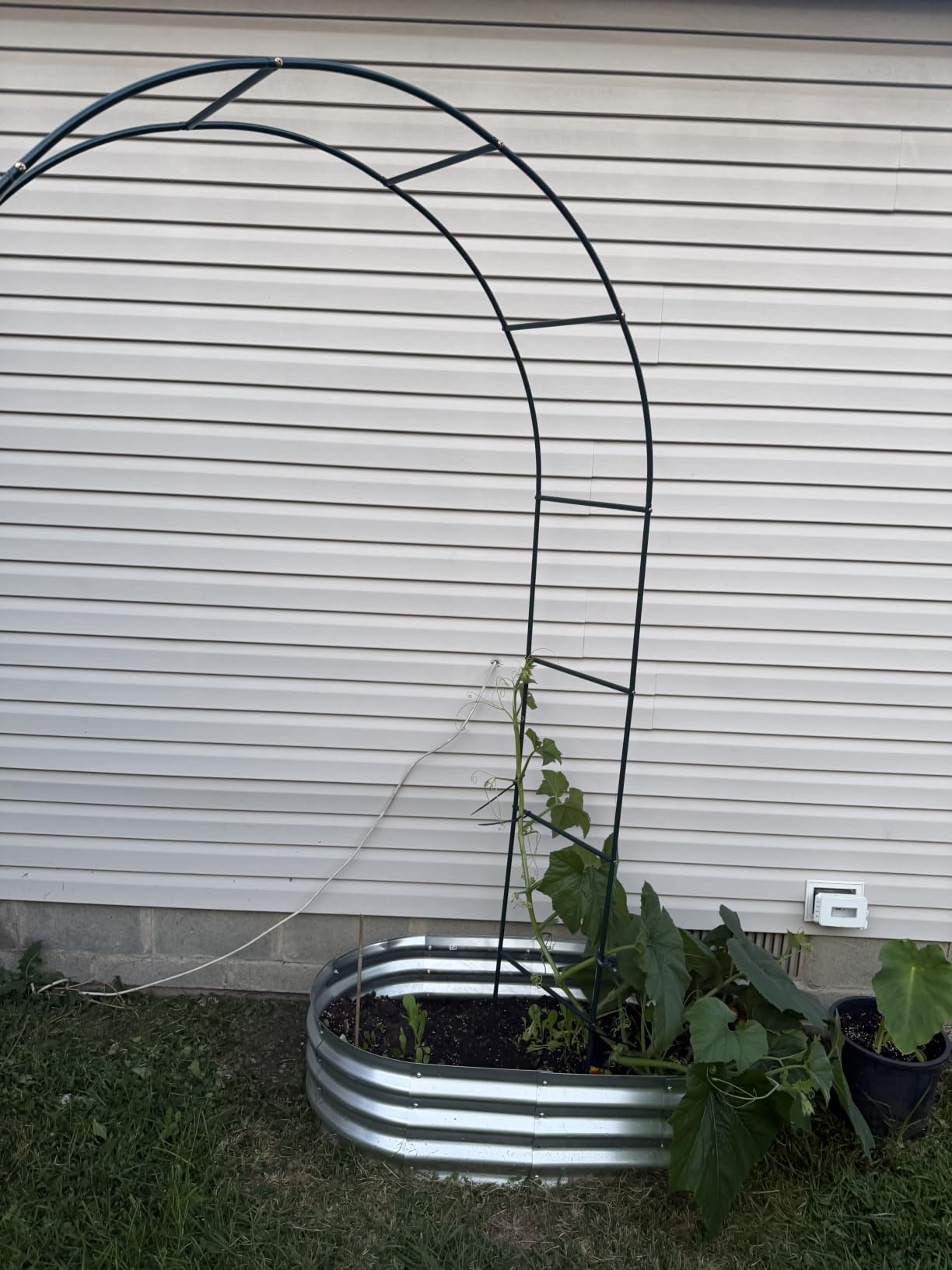 RUBFAC 7.8ft Garden Arch Trellis for Climbing Plants Outdoor, Metal Arch Frame Garden Arbors and Arches, Outdoor Archway for Flower Vines Wedding Bridal Party Decoration, Black customer photo 1