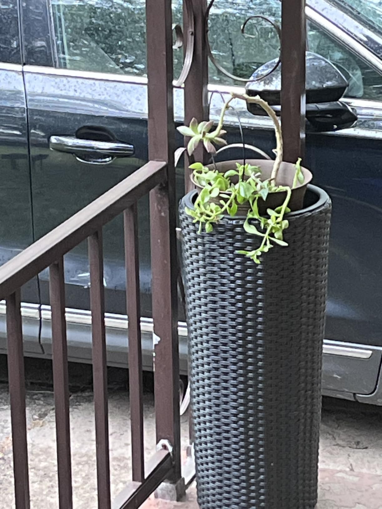 Wicker Planters, 24-Inch Tall Square Rattan Flower Pots, Mocha, 2PCS customer photo 1