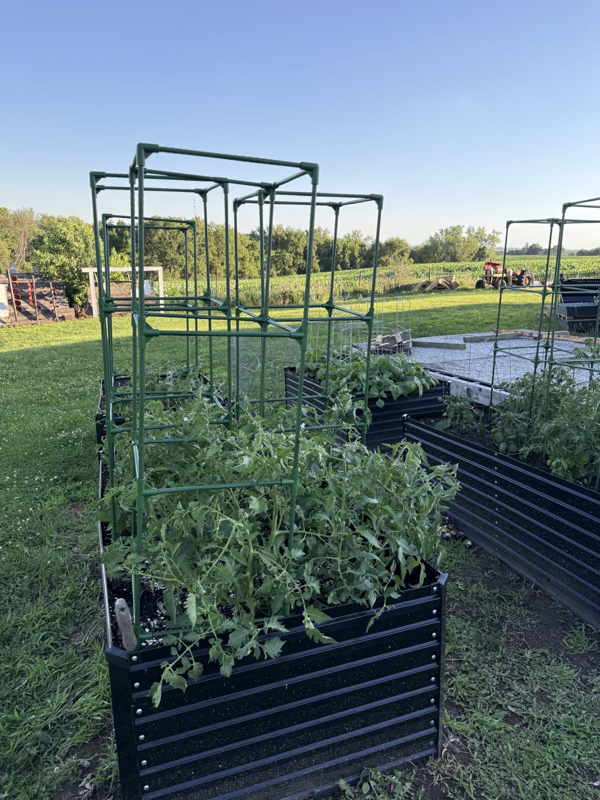 Square Tomato Cage - Large Trellis Stakes and Plant Support Structures for Vegetables and Climbing Plants - Tall Tomato Cages for Garden, Pots, Raised Garden Bed Outdoor Supplies (3 Pack - Up to 41