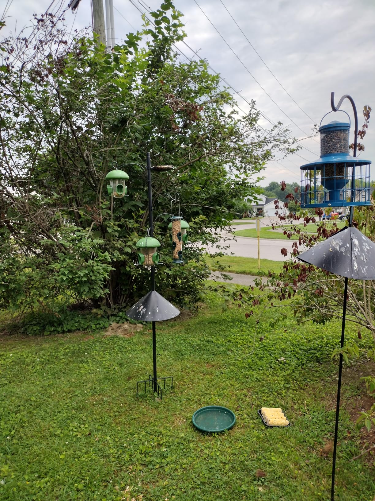 92 Inch Squirrel Proof Bird Feeder Pole with 9 Prongs Base, 1 Inch Dia Bird House Pole, Heavy Duty Bird Feeder Stand, Adjustable Shepherds Hooks for Outdoor with Squirrel Baffle Birdbath Tray customer photo 2