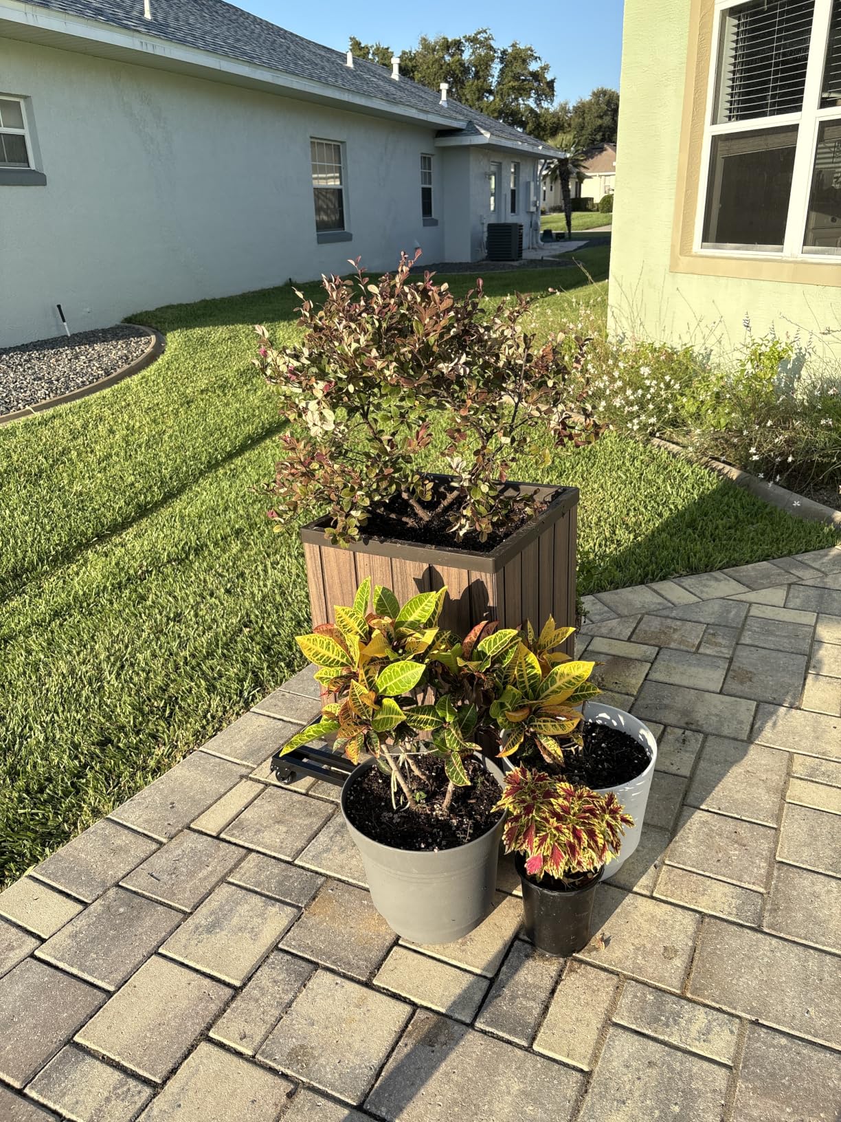 Keter Signature 21.6 Inch Tall Square Large Wood Look Planter for Indoor or Outdoor Flower Pot Ideal for Patio Deck and Front Porch Decor, Rosewood customer photo 1