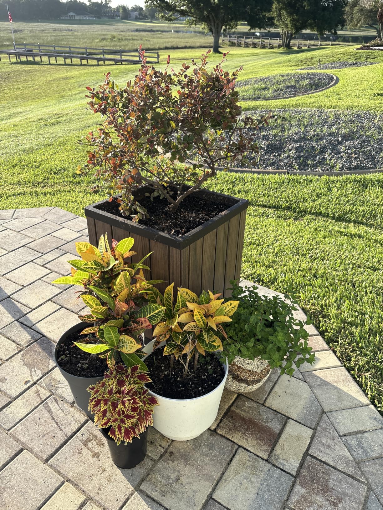 Keter Signature 21.6 Inch Tall Square Large Wood Look Planter for Indoor or Outdoor Flower Pot Ideal for Patio Deck and Front Porch Decor, Rosewood customer photo 2