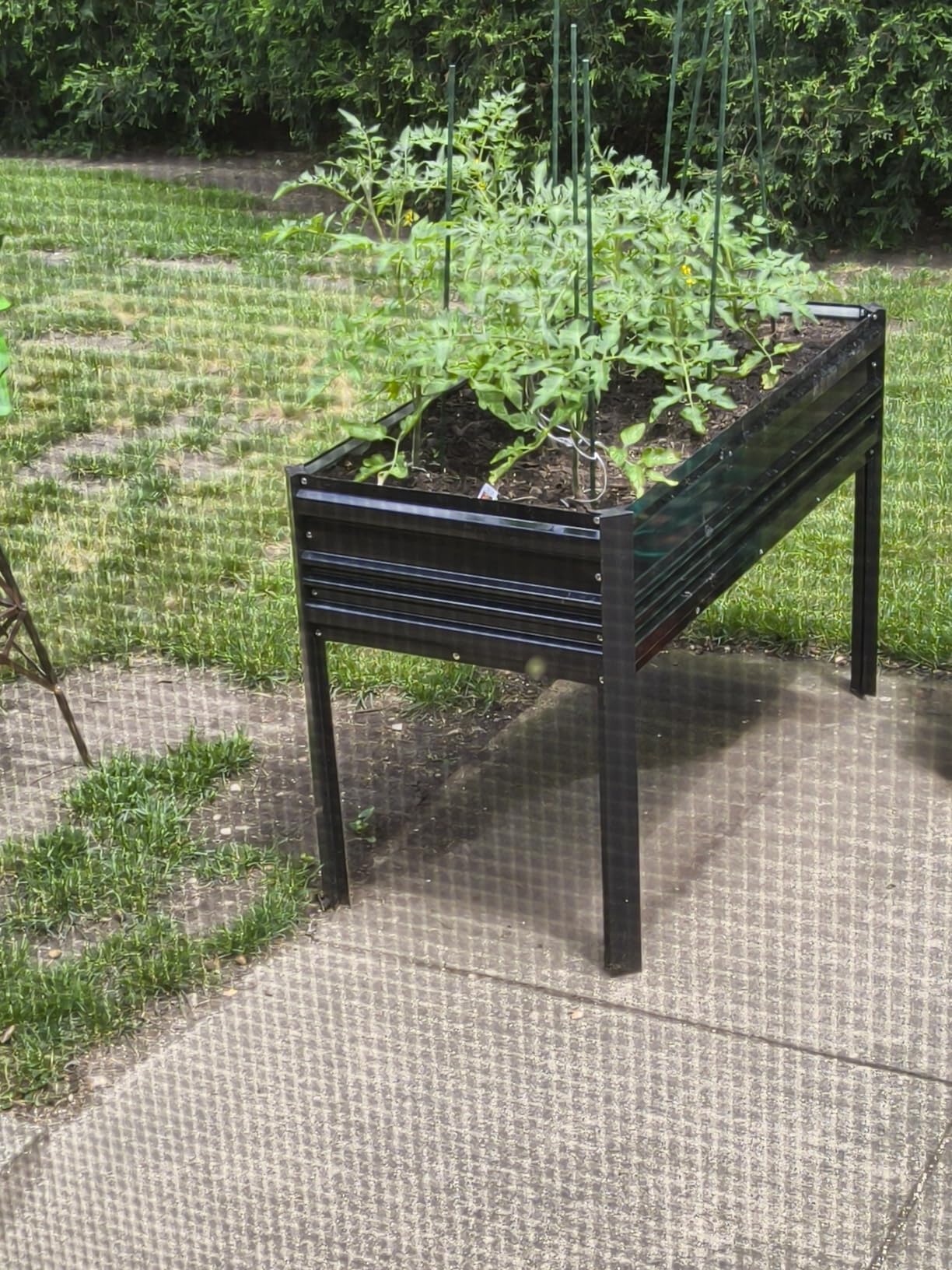 WORKPRO 48x24x32in Outdoor Galvanized Raised Garden Bed with Legs, 600LB Elevated Planter Box for Vegetable, Flowers, Herbs, Light Green customer photo 1