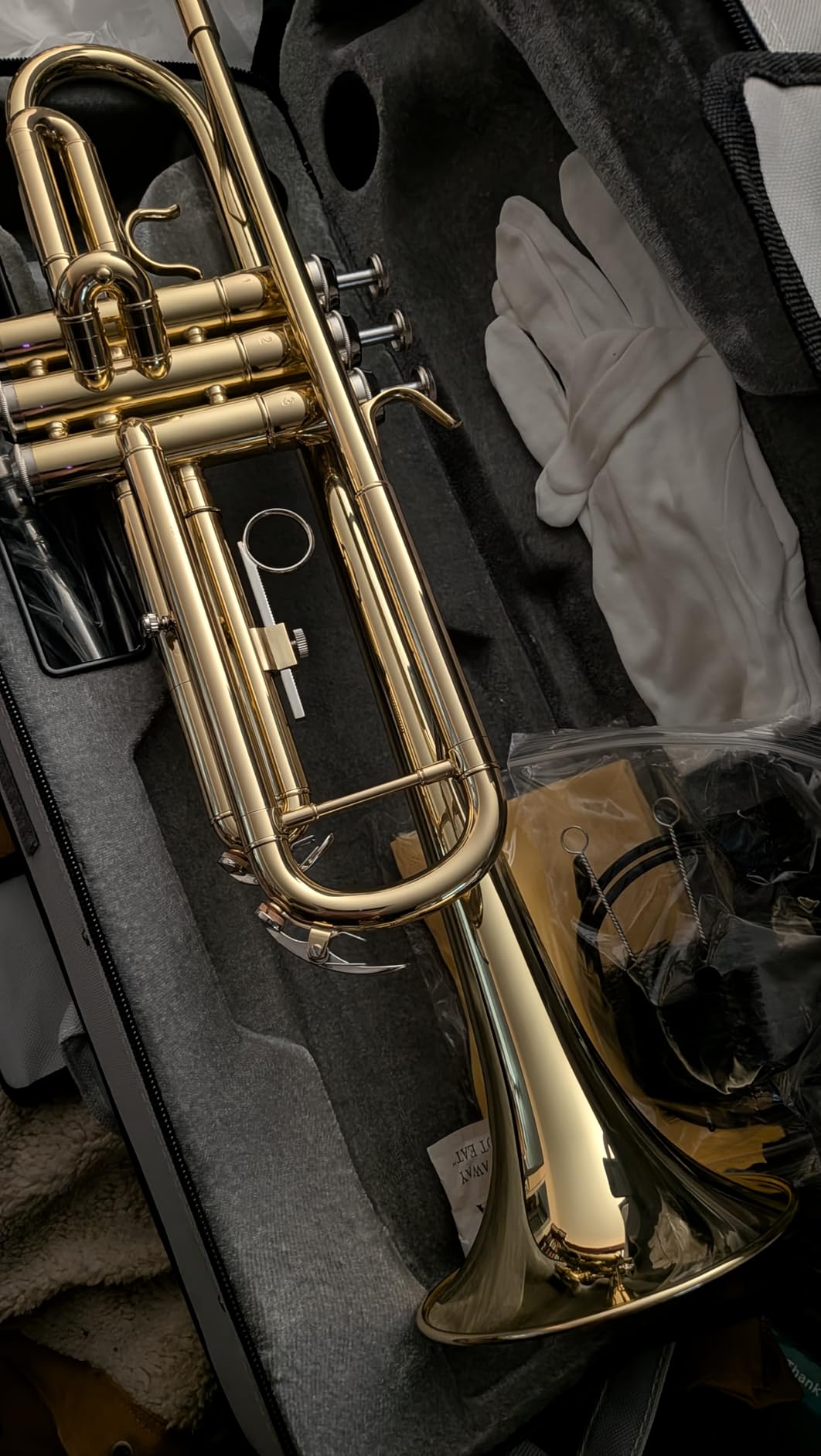STRICH Bb Standard Trumpet Set for Beginners Student, Brass Trumpet Instrument with Hard Case, Cleaning Kit, 7C & 3C Mouthpieces, Gloves STR-130G, Gold customer photo 1