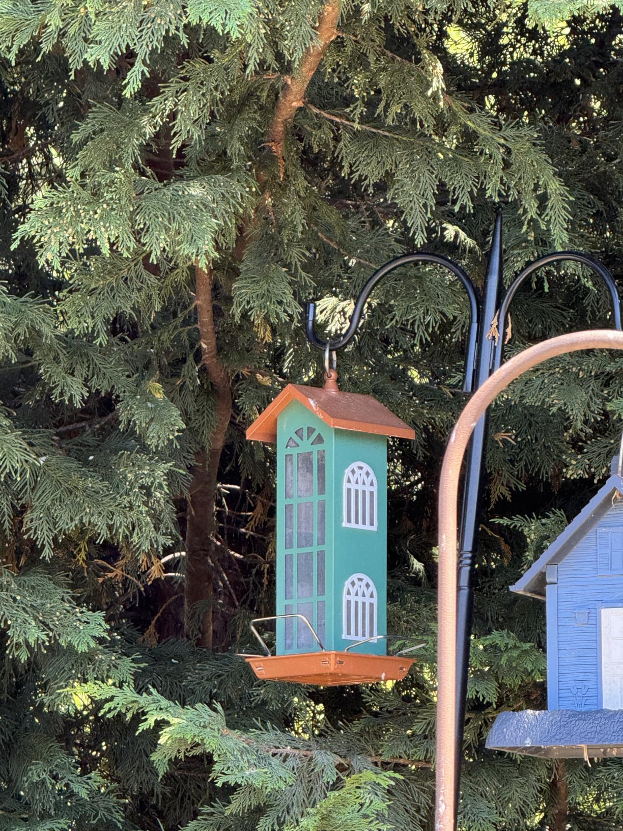 Metal Squirrel Proof Bird Feeders for Outdoors Hanging 5.5LB Larger Capacity customer photo 1