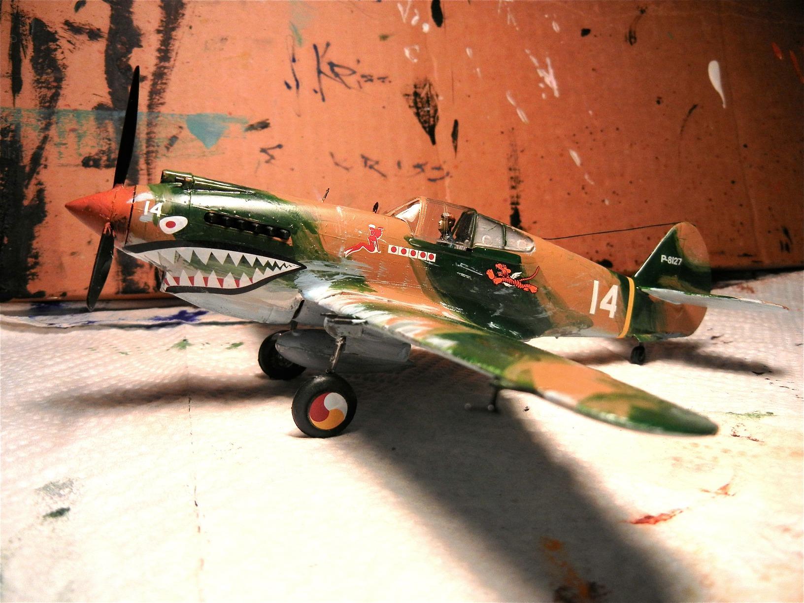 Revell 1:48 P - 40B Tiger Shark Plastic Model Kit customer photo 1