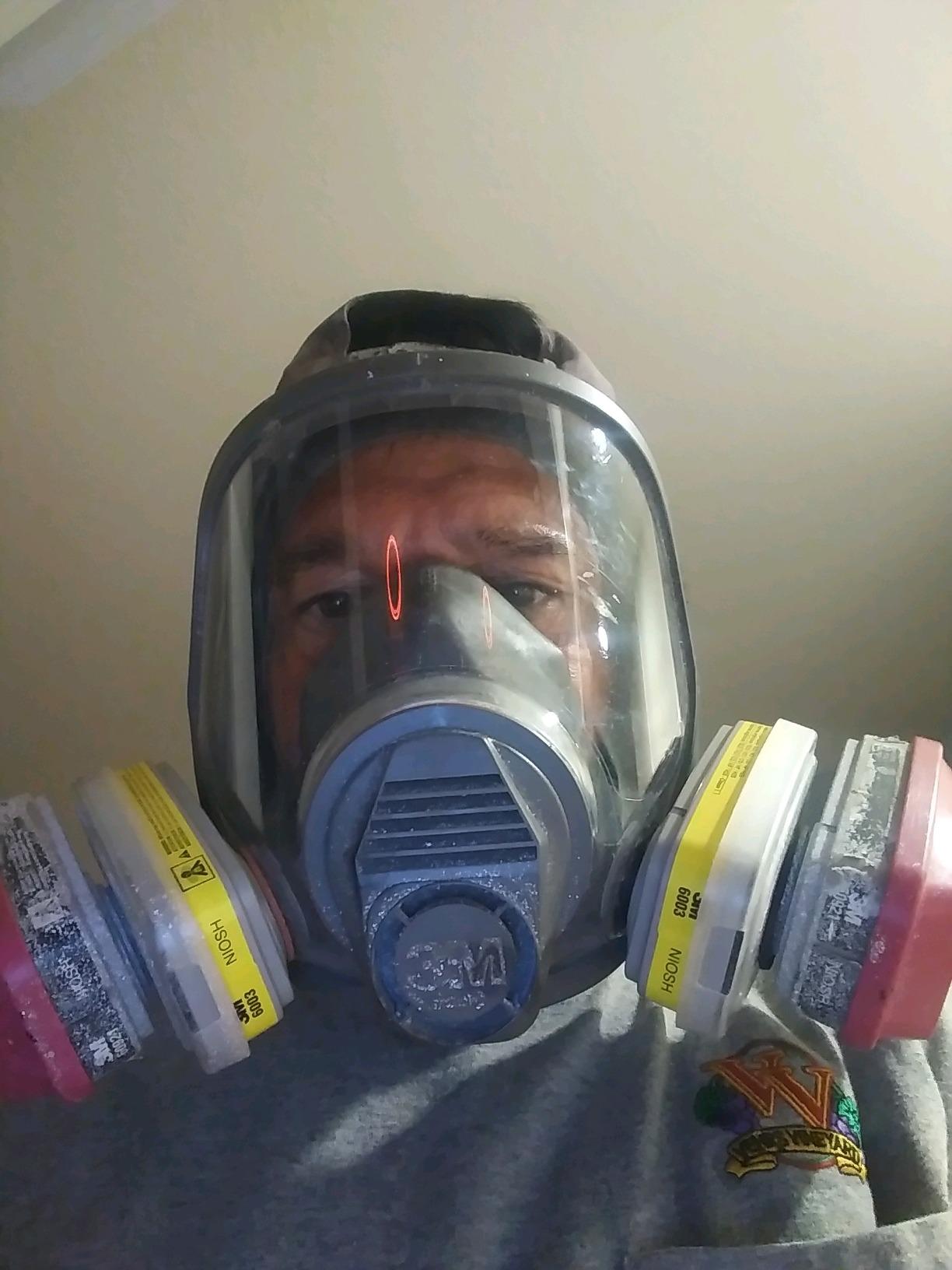 3M Respirator Cartridge 6003, NIOSH Approved, 1 Pair | Helps Protect Against Organic Vapors or Acid Gases customer photo 2