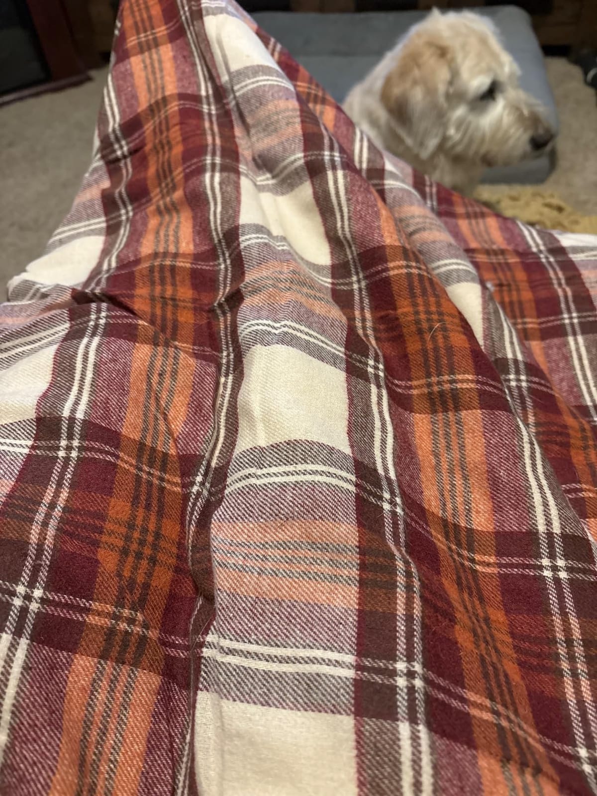 Eddie Bauer - Sherpa Throw Blanket for Couch 50x60 - Ultra Soft Reversible Fleece & Plush Sherpa Blanket, Warm Cozy Plaid Throw Blanket for Sofa, Bed, Living Room, Cabin Decor customer photo 1