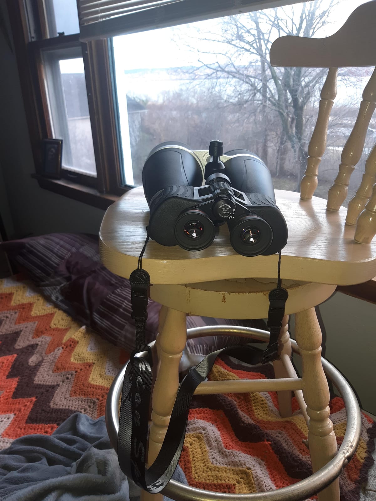 Celestron SkyMaster Pro 20x80 Astronomy Binoculars for Long-Range Viewing customer photo 2