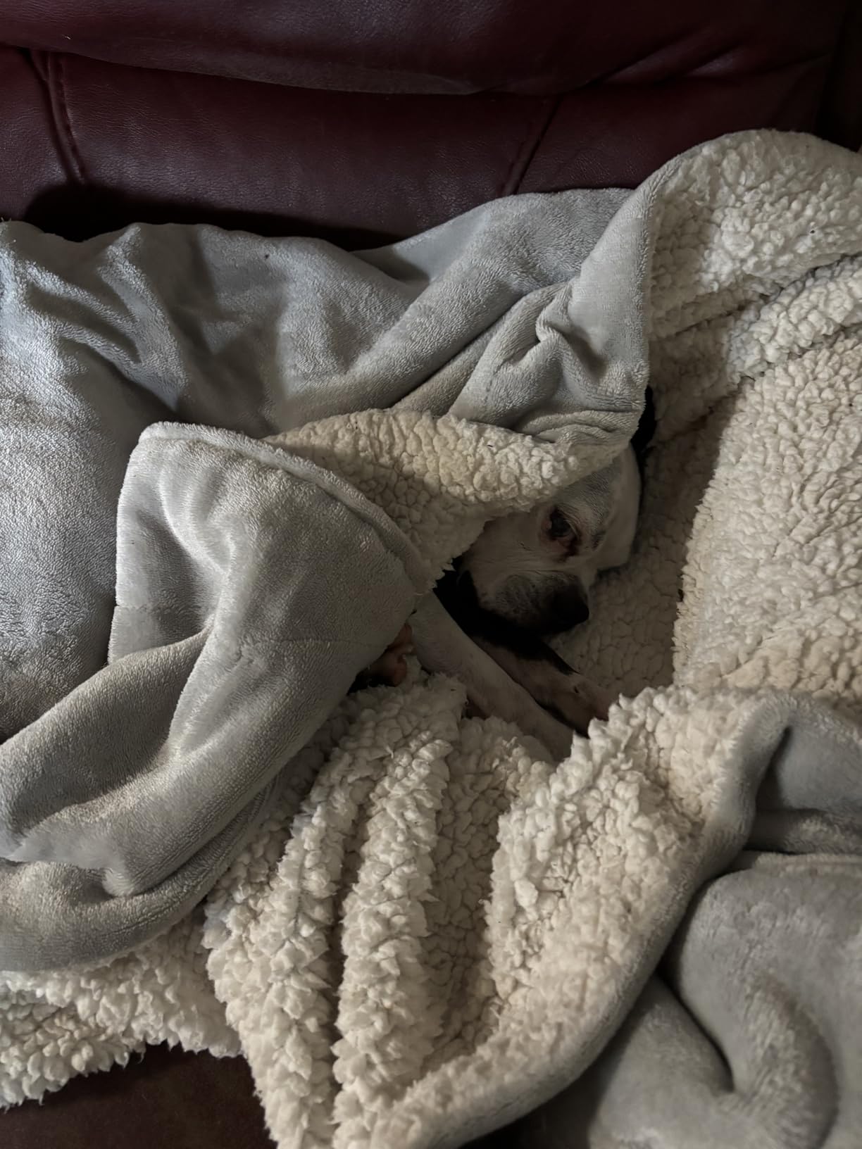 Bedsure GentleSoft Sherpa Fleece Throw Blanket for Couch, Non-Heated, Thick and Warm Throw for Women and Men, Soft Fuzzy Plush Weight Blanket for Winter, Navy, 50x60 Inches customer photo 2