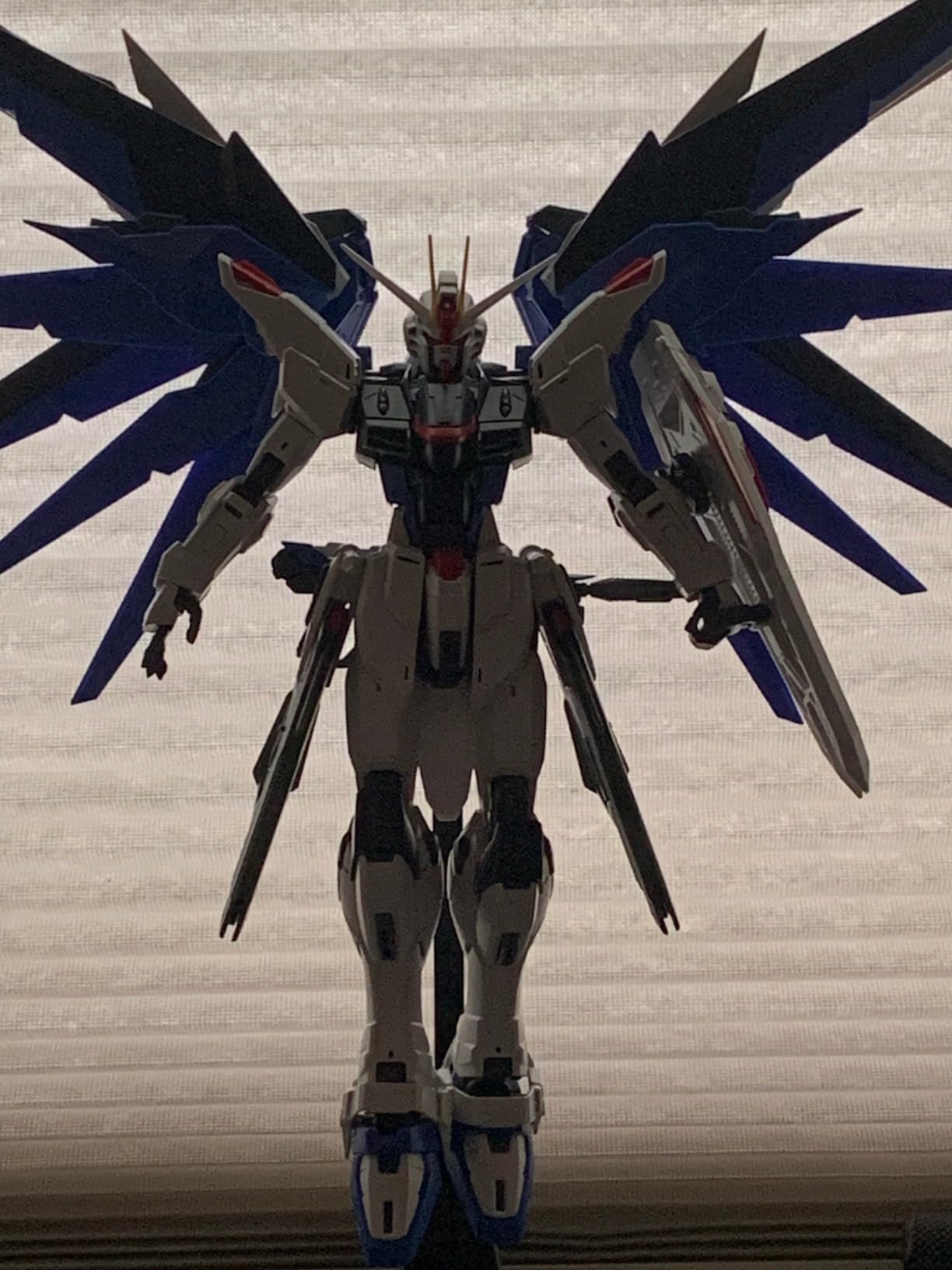 Bandai Hobby MG Freedom Gundam (Ver. 2.0)