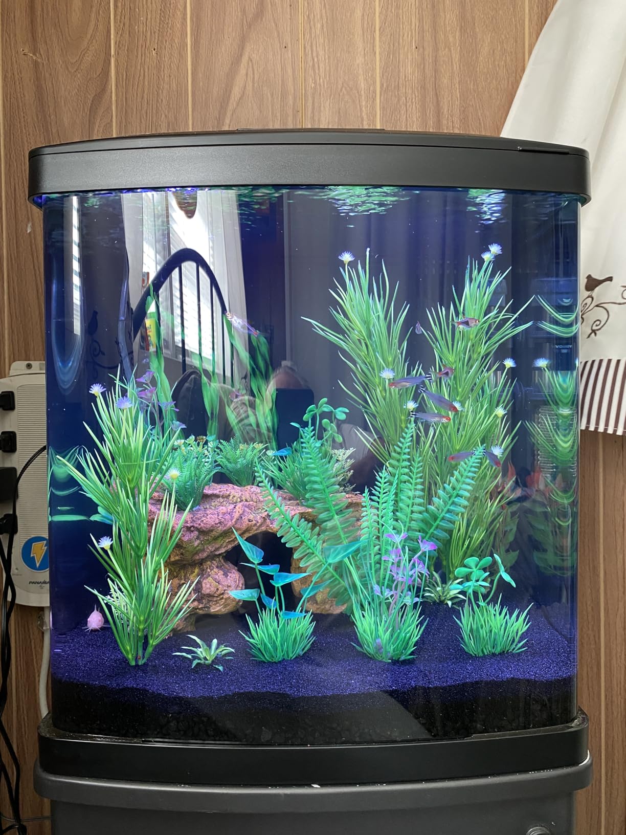 Coralife LED Biocube Aquarium Starter Kit, 16 Gallon Tank for Beginners customer photo 1