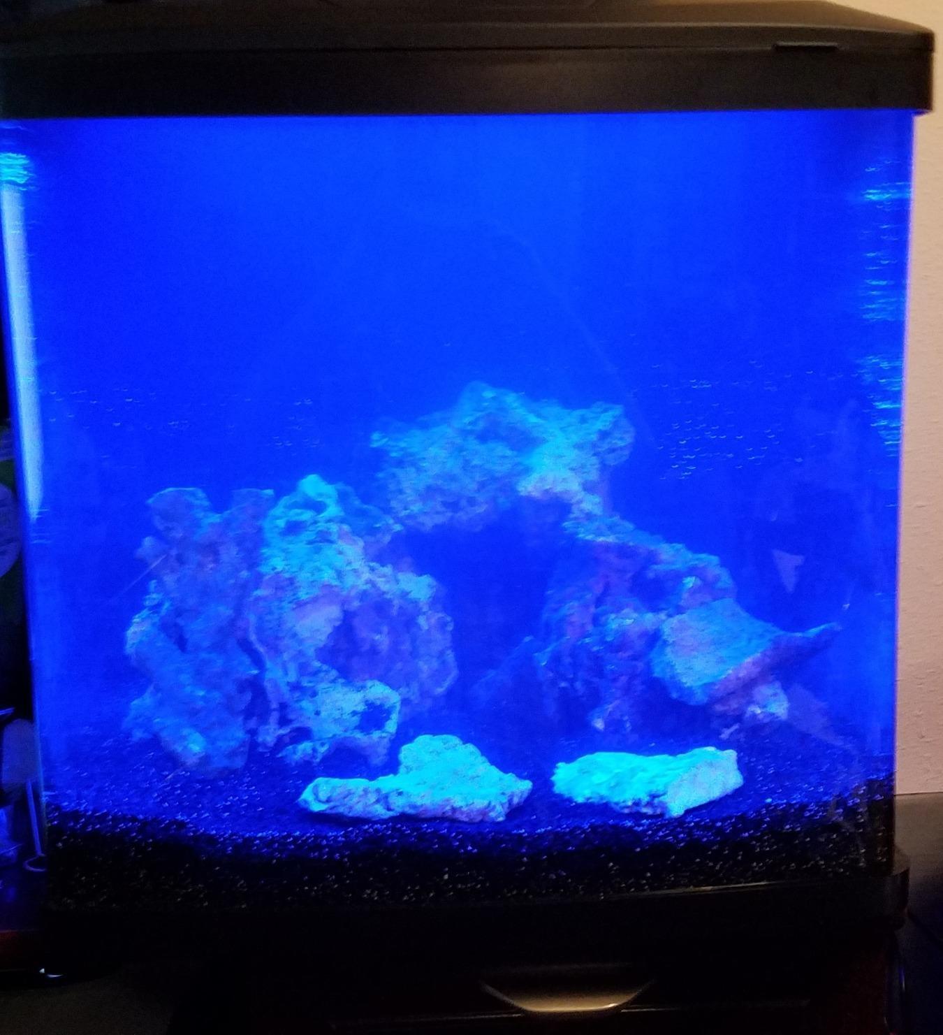 Coralife BioCube, Aquarium Kit, Integrated 24-hour Timer, Customizable LED Lighting, for Saltwater and Freshwater Environments, 32 Gallon customer photo 2