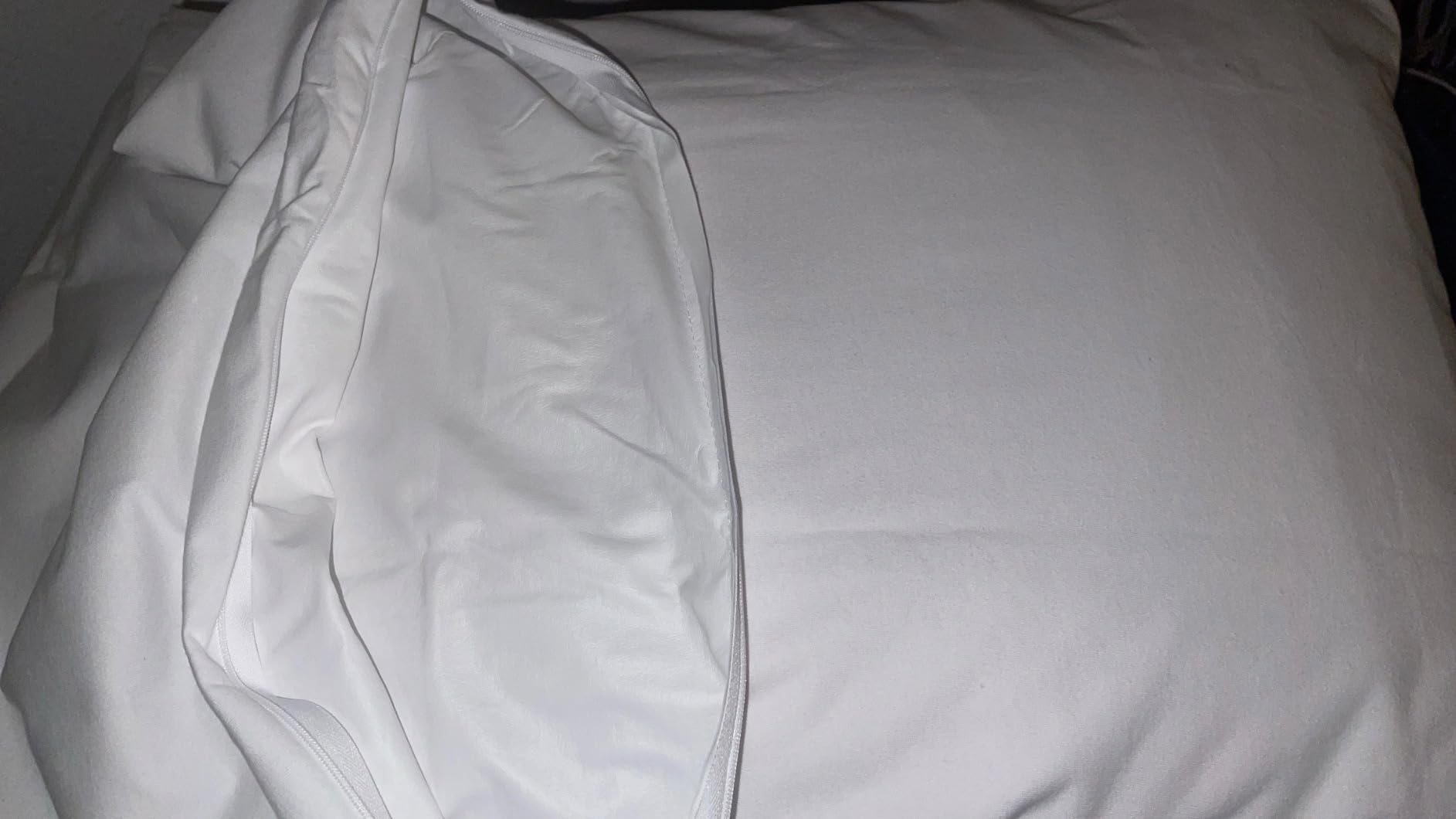 Set of 2 Standard Size SureGuard Pillow Protectors - 100% Waterproof, Bed Bug Proof, Hypoallergenic - Premium Zippered Cotton Covers - Smooth customer photo 1
