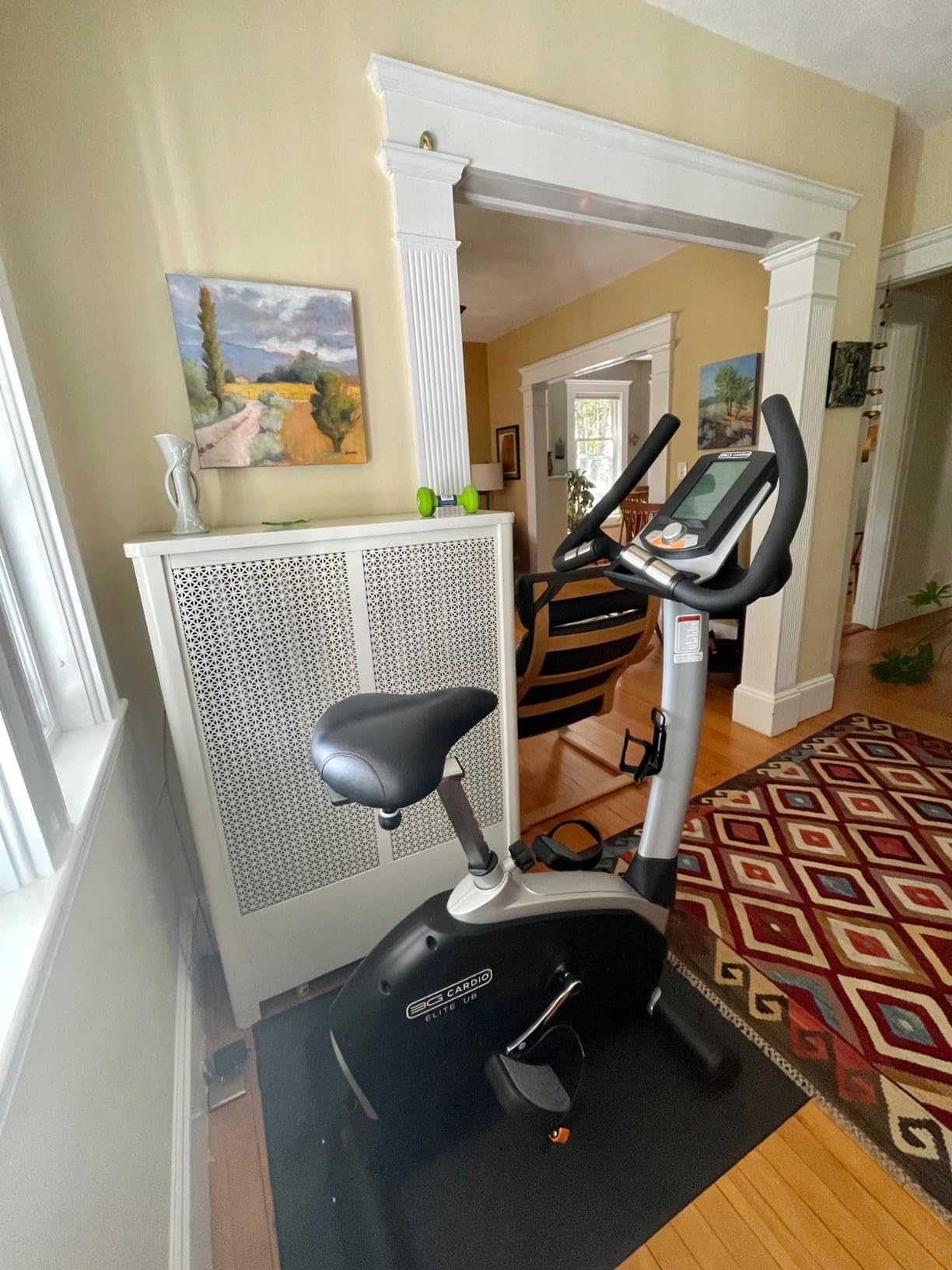 3G Cardio Elite UB X Upright Bike - FreeSync FTMS Bluetooth Smart App Connectivity - Tablet Shelf - Compact 41” (L) Footprint - Oversized Padded Soft Saddle Seat - 350 lb Capacity - Commercial Grade customer photo 1