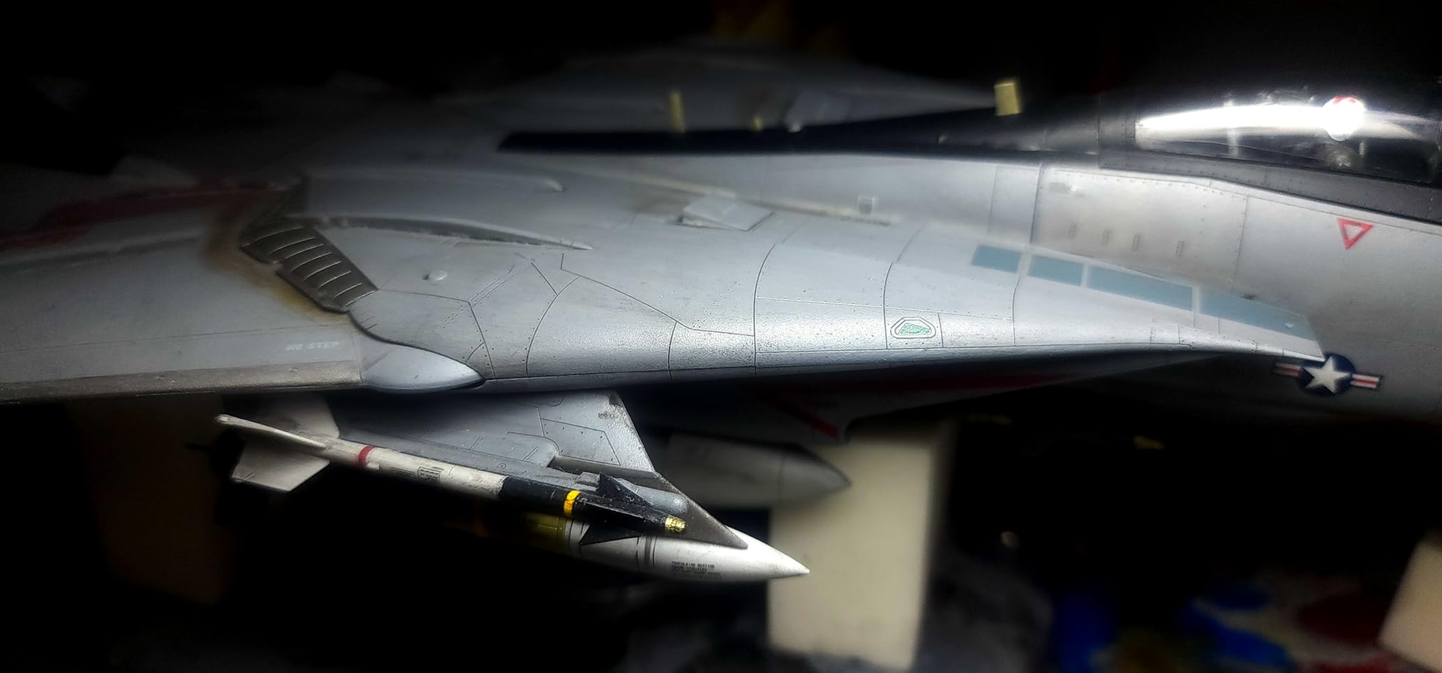 Tamiya 61118 1/48 Grumman F-14D Tomcat Plastic Model Airplane Kit customer photo 1