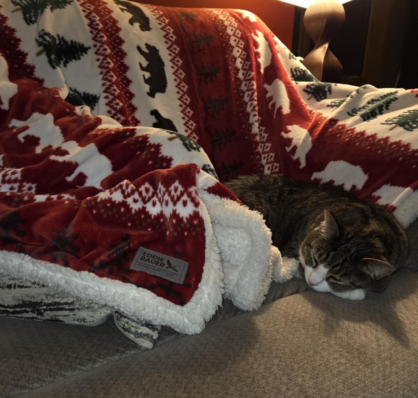 Eddie Bauer - Sherpa Throw Blanket for Couch 50x60 - Ultra Soft Reversible Fleece & Plush Sherpa Blanket, Warm Cozy Bear & Pine Cabin Throw for Sofa, Bed, Living Room Decor customer photo 2