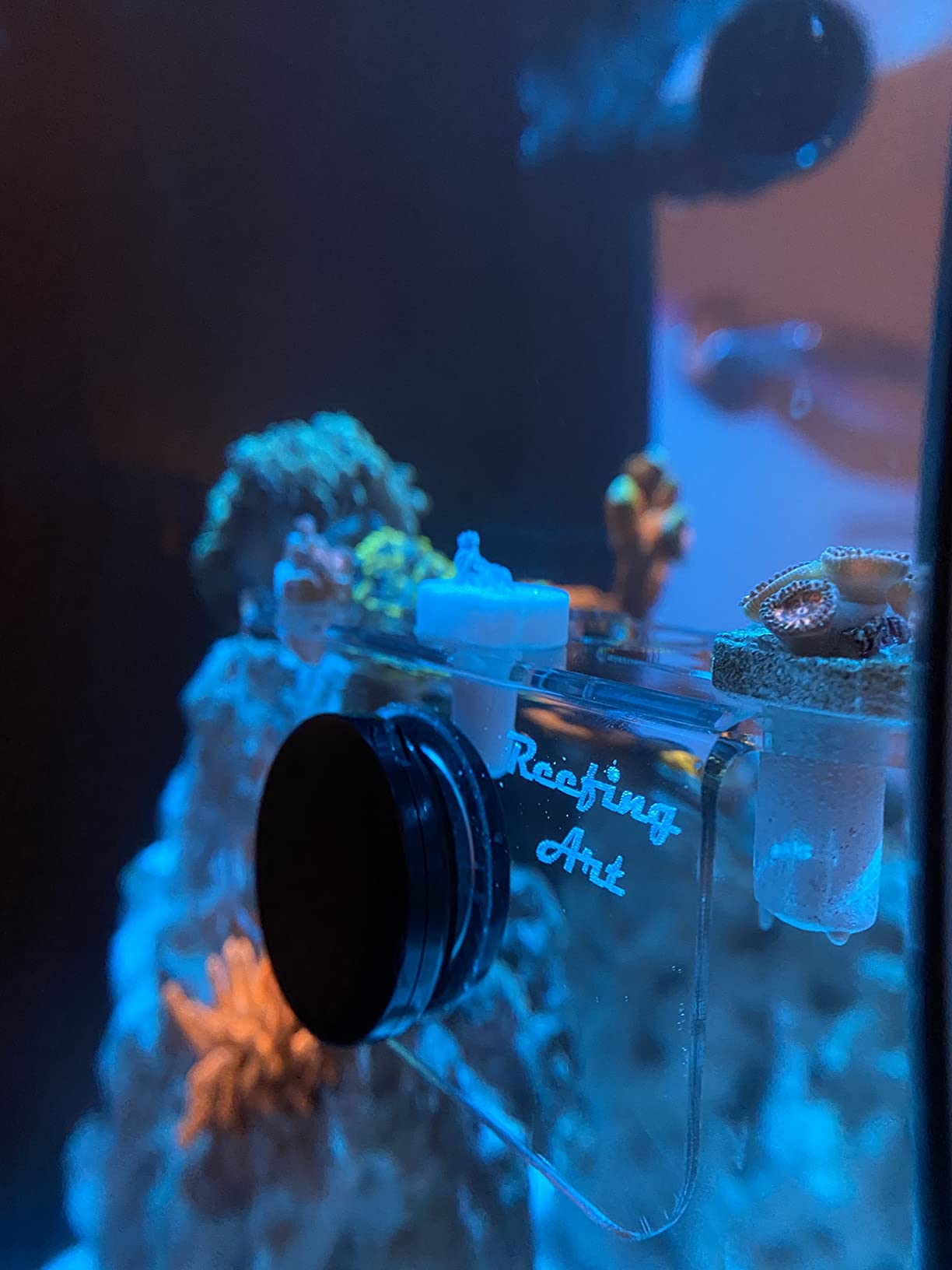 8 Plugs Coral Frag Rack (Set of One) customer photo 1