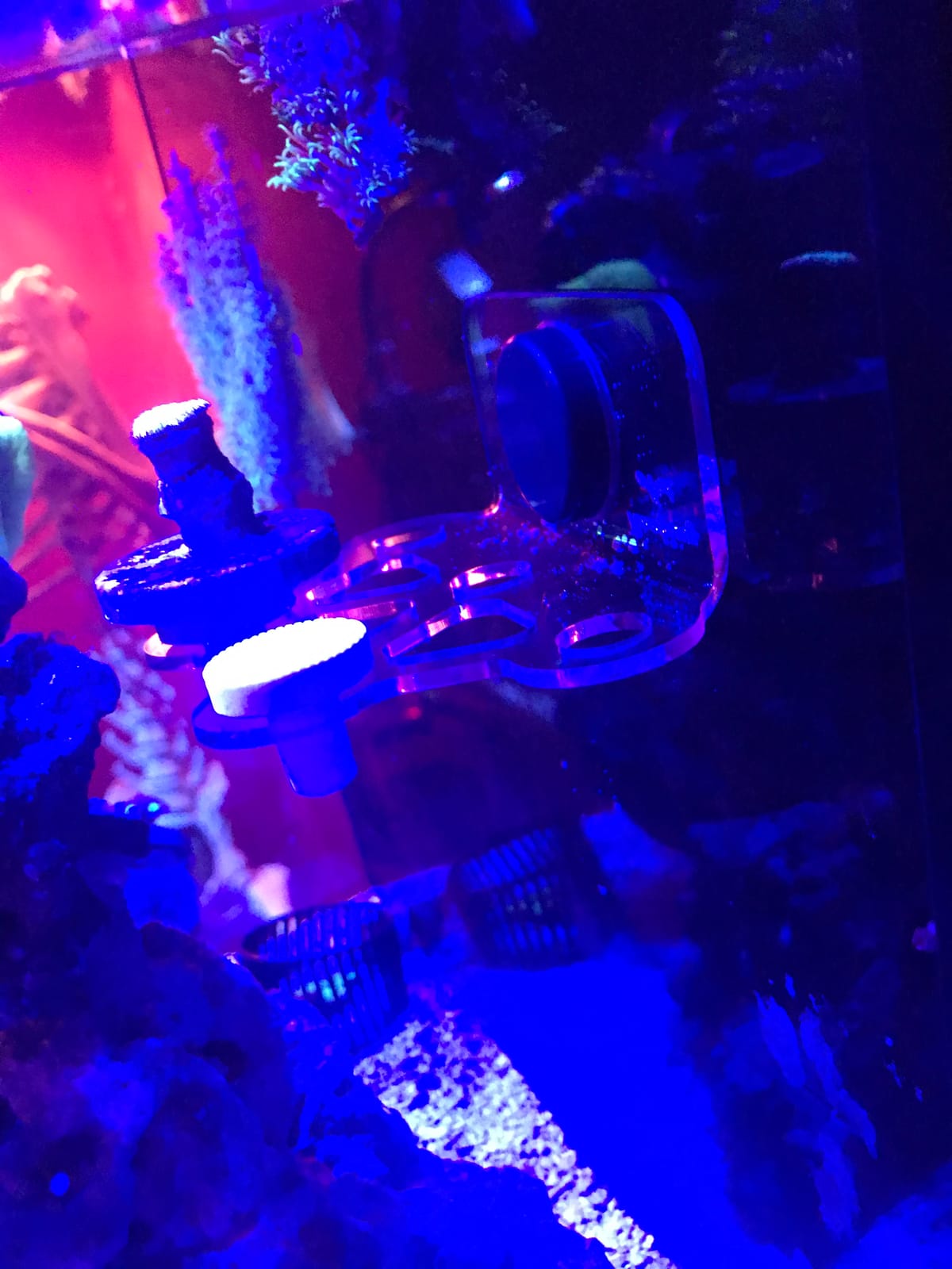 8 Plugs Coral Frag Rack (Set of One) customer photo 2