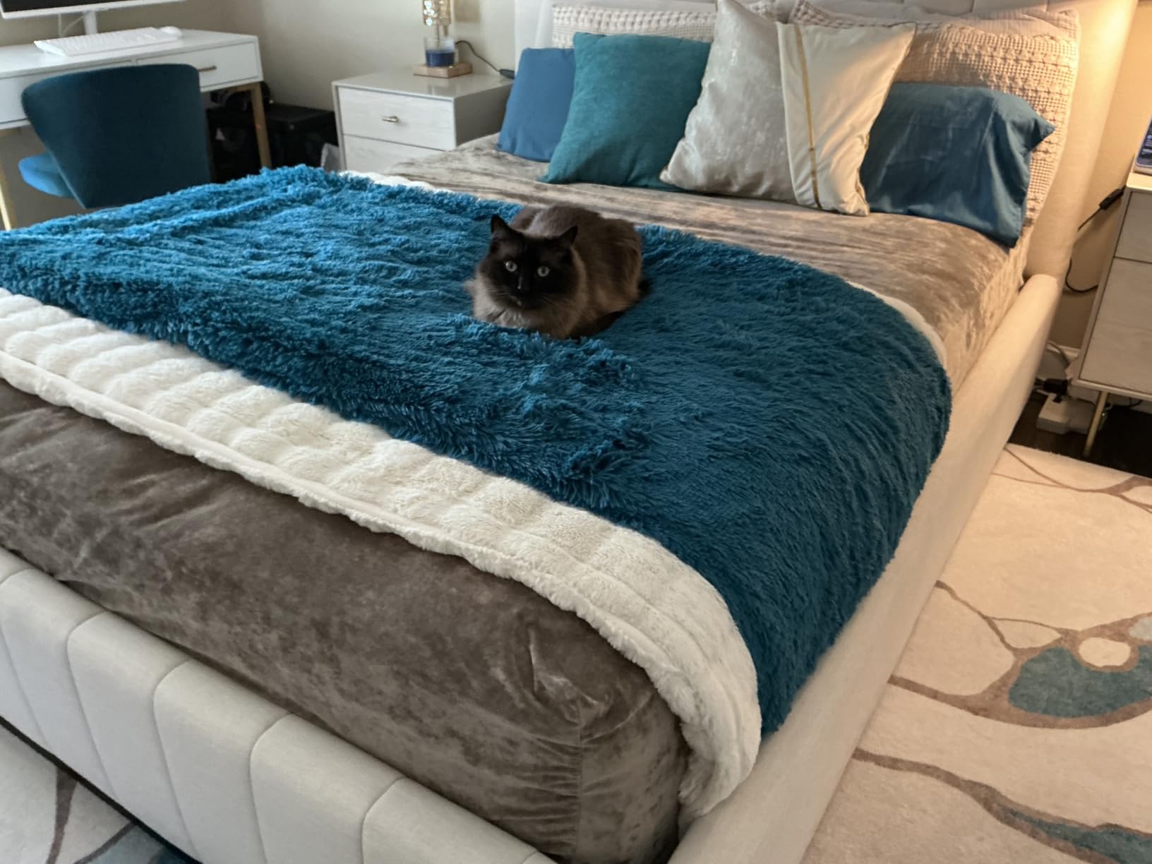 Bedsure GentleSoft Fluffy Fuzzy Faux Fur Throw Blanket for Couch, Soft Sherpa Fleece Cozy Gifts for Women, Plush Bed Blanket Room Decor for Men, Thick Warm Teen Gifts Winter Bedding customer photo 2