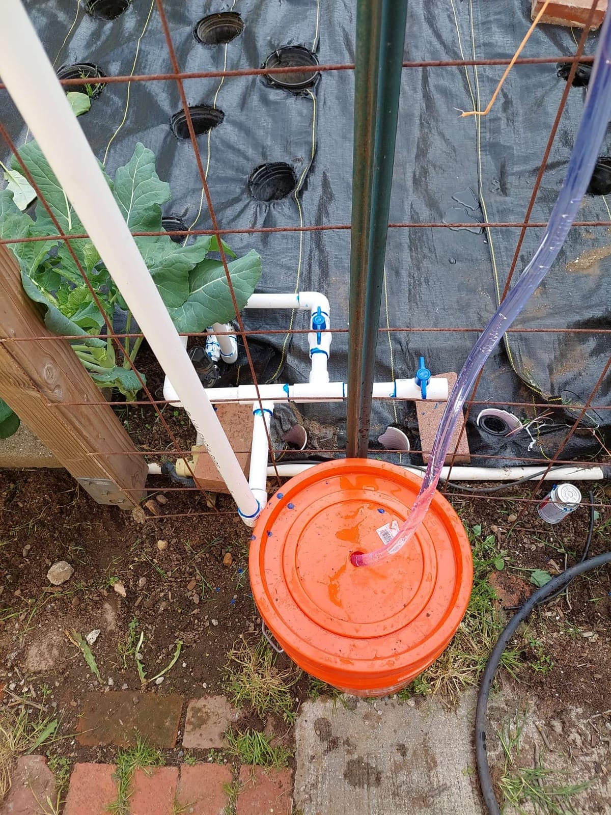 NEWTRY 0.4%-4% Fertilizer Injector for Drip Irrigation Adjustable Water Powered Dosing Pump 3/4