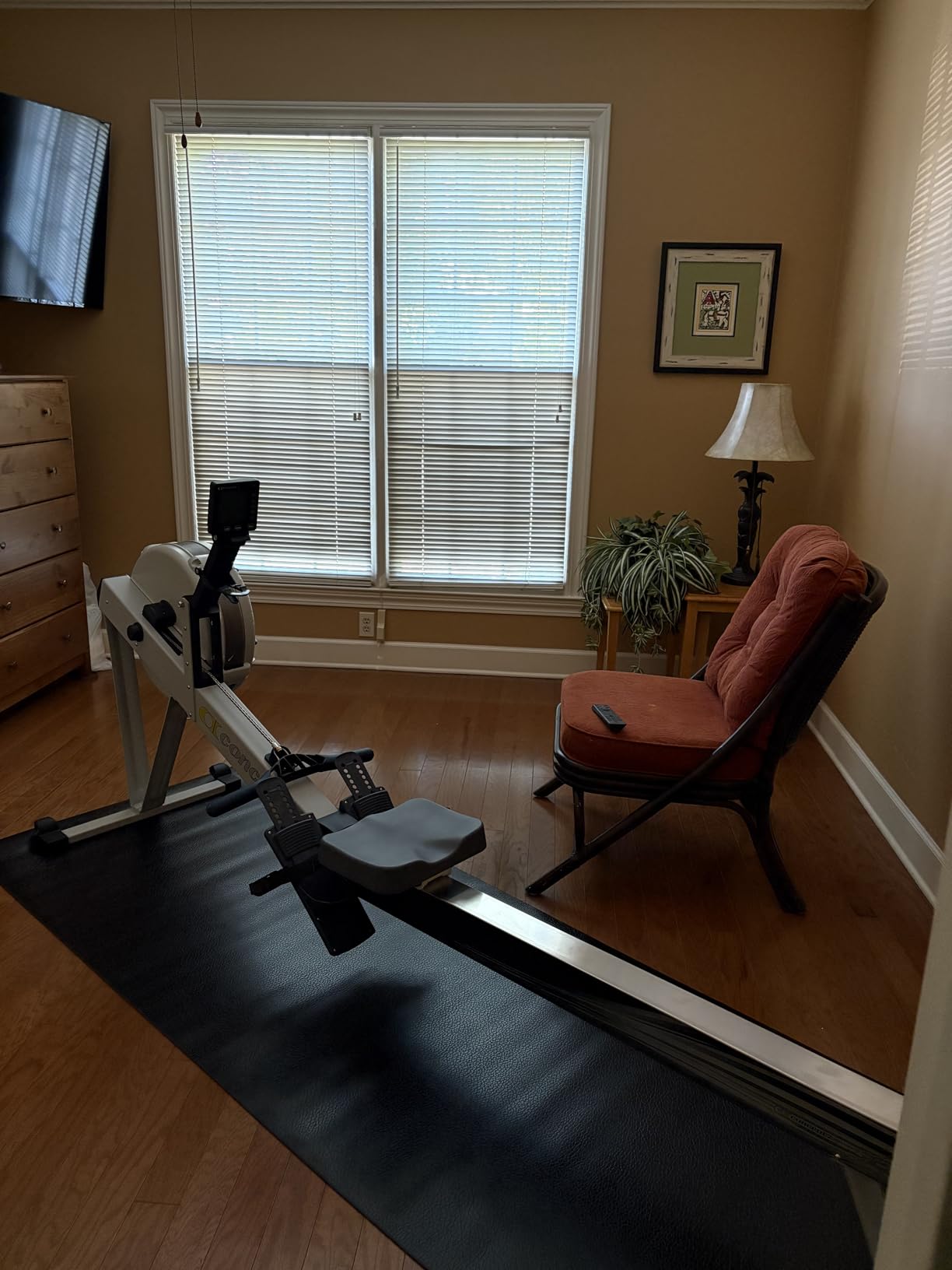 RowErg Model D Indoor Rowing Machine with PM5 Monitor, Device Holder, Adjustable Air Resistance, Easy Storage (Gray) customer photo 1