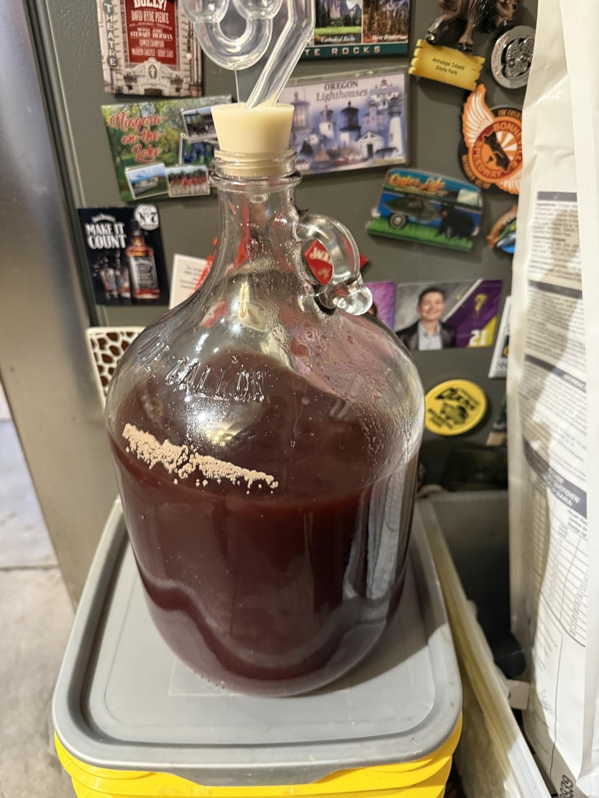 North Mountain Supply Fermenting Jug Starter Kit, 1 Gallon | Home Brewing, Starter Kit, Wine, Beer Brewing For Beginners, Jug With Handle, Airlock, Yeast customer photo 1