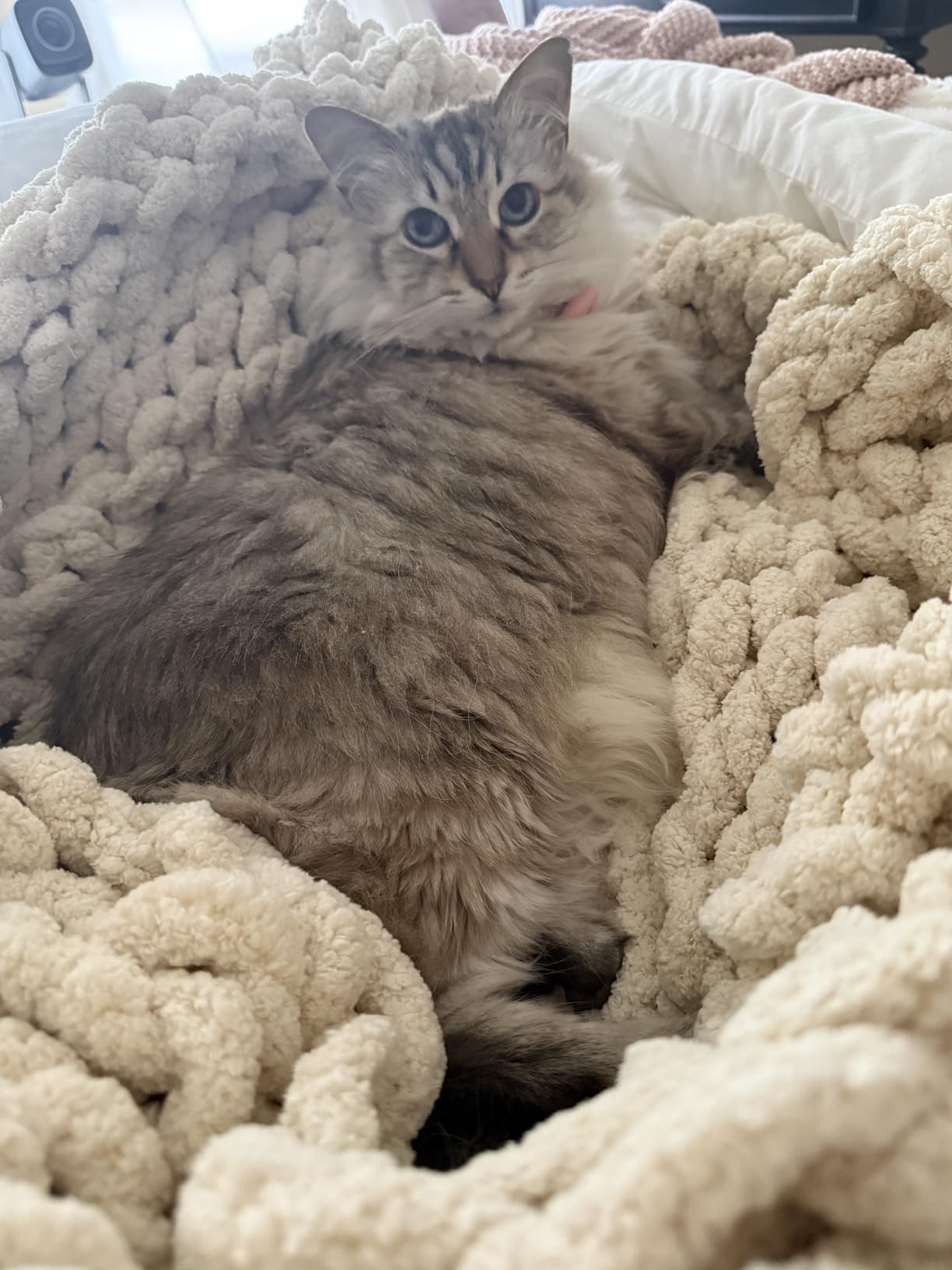 Bigacogo Chunky Knit Throw Blanket for Couch, 40x60 inches, Beige | Hand Knit with Jumbo Chenille, Soft Breathable Cable Knit for Sofa Bed Living Room, Machine Washable, Gift for Mom Friend customer photo 1