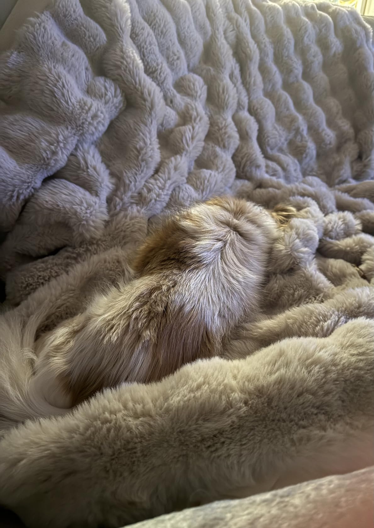 Faux Rabbit Fur Throw for Couch - Cream White Bubble Blanket 50