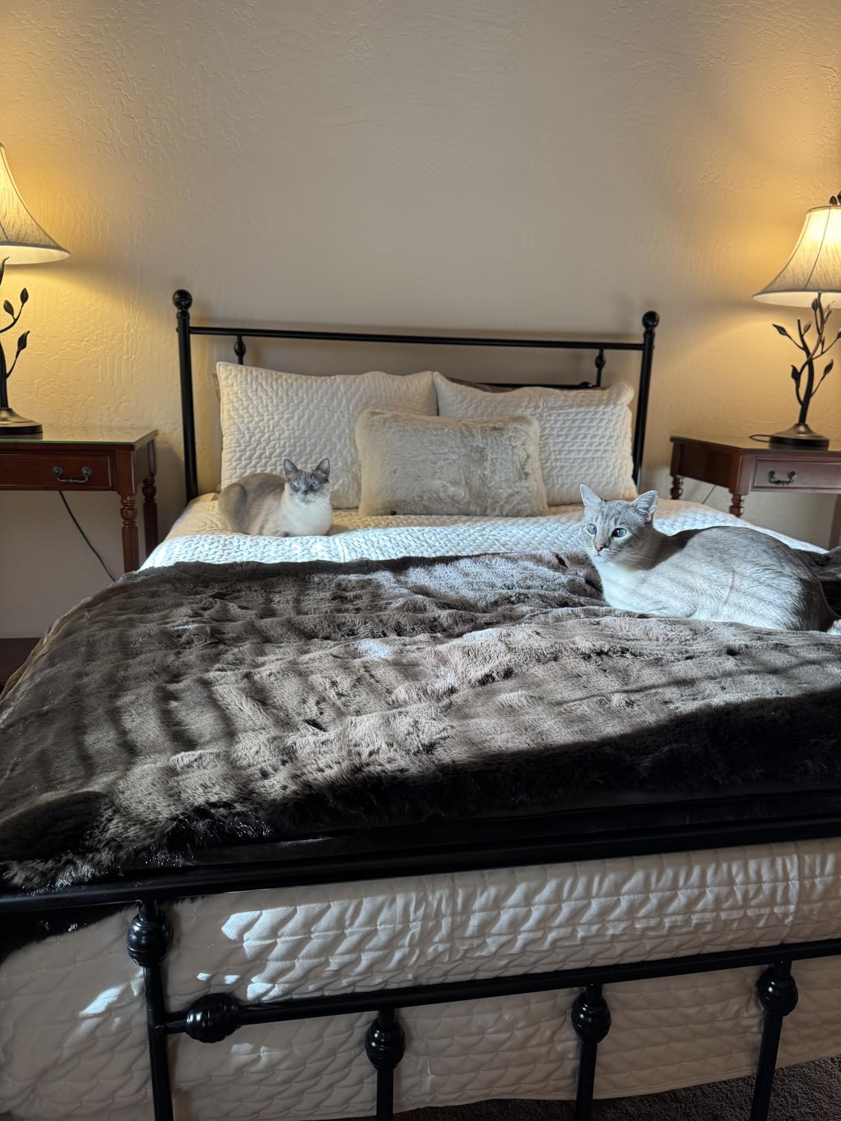 EVERGRACEHOME Faux Chinchilla Fur Throw Blanket, 50
