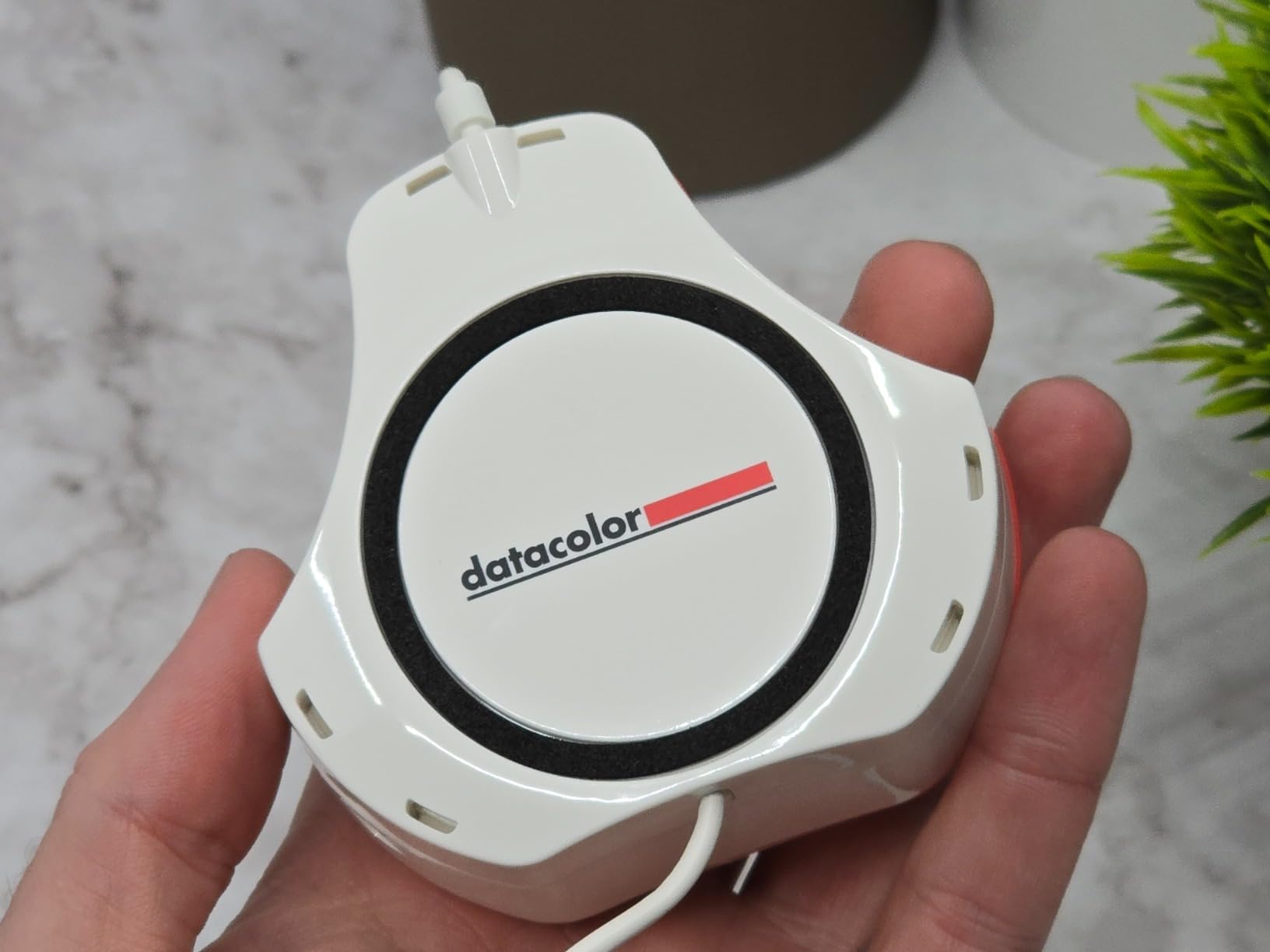 Datacolor Spyder Celebration Kit - Monitor Calibrator & Color Checker customer photo 2