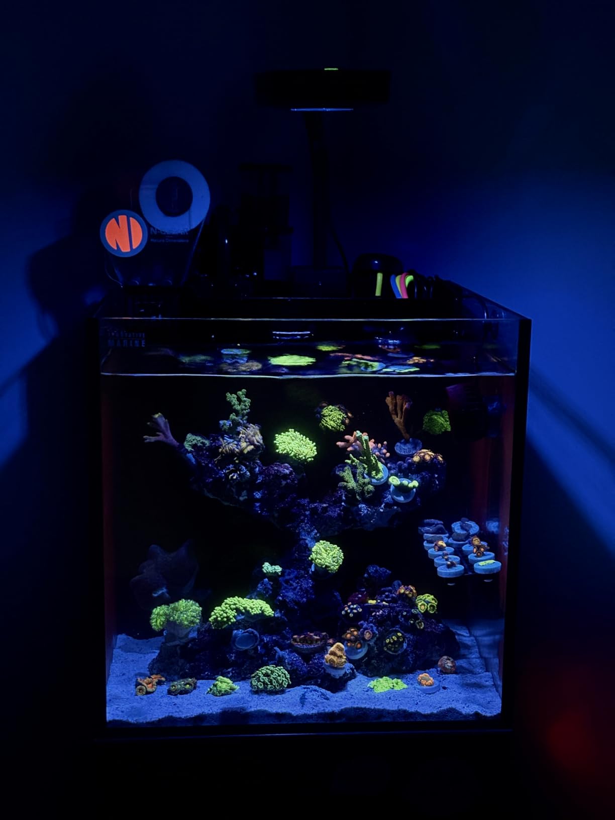 Jecod Jebao Doser 5.4 Bluetooth 4-Channel Auto Dosing Pump | Saltwater Reef Aquarium customer photo 2