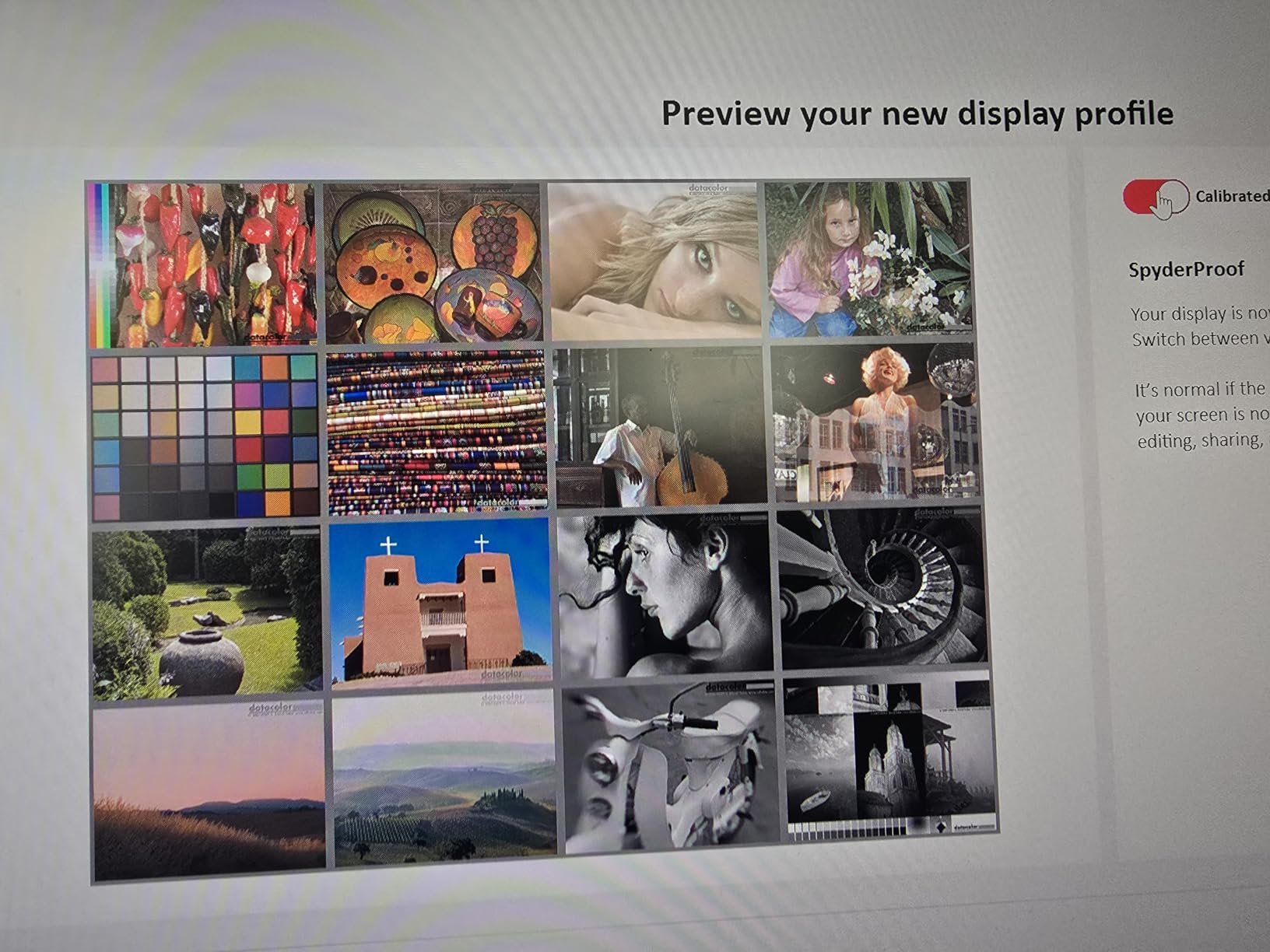 Datacolor SpyderExpress Monitor Calibrator & Screen Color Calibrator customer photo 2